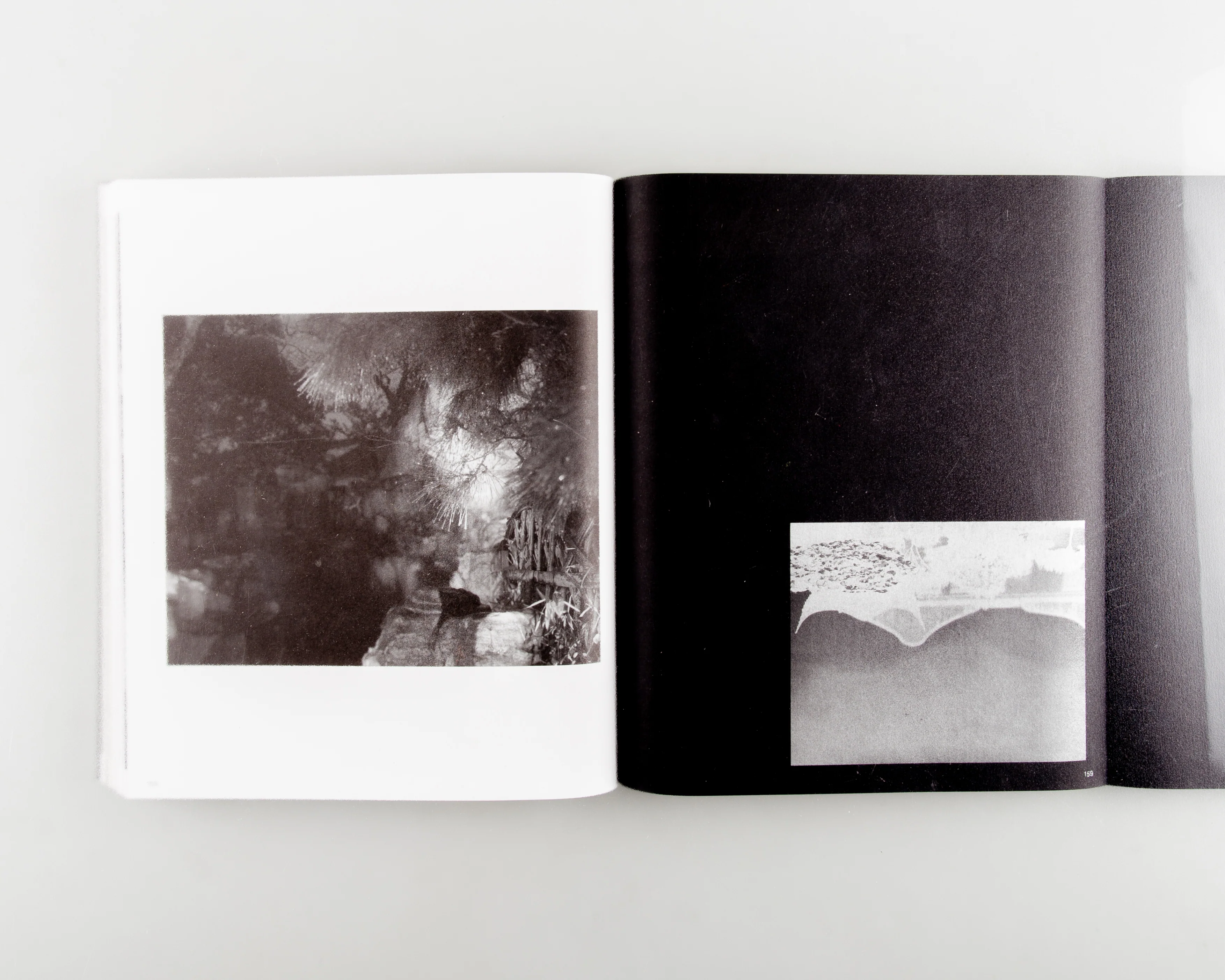 Faërie (不朽的林泉) - Image 3