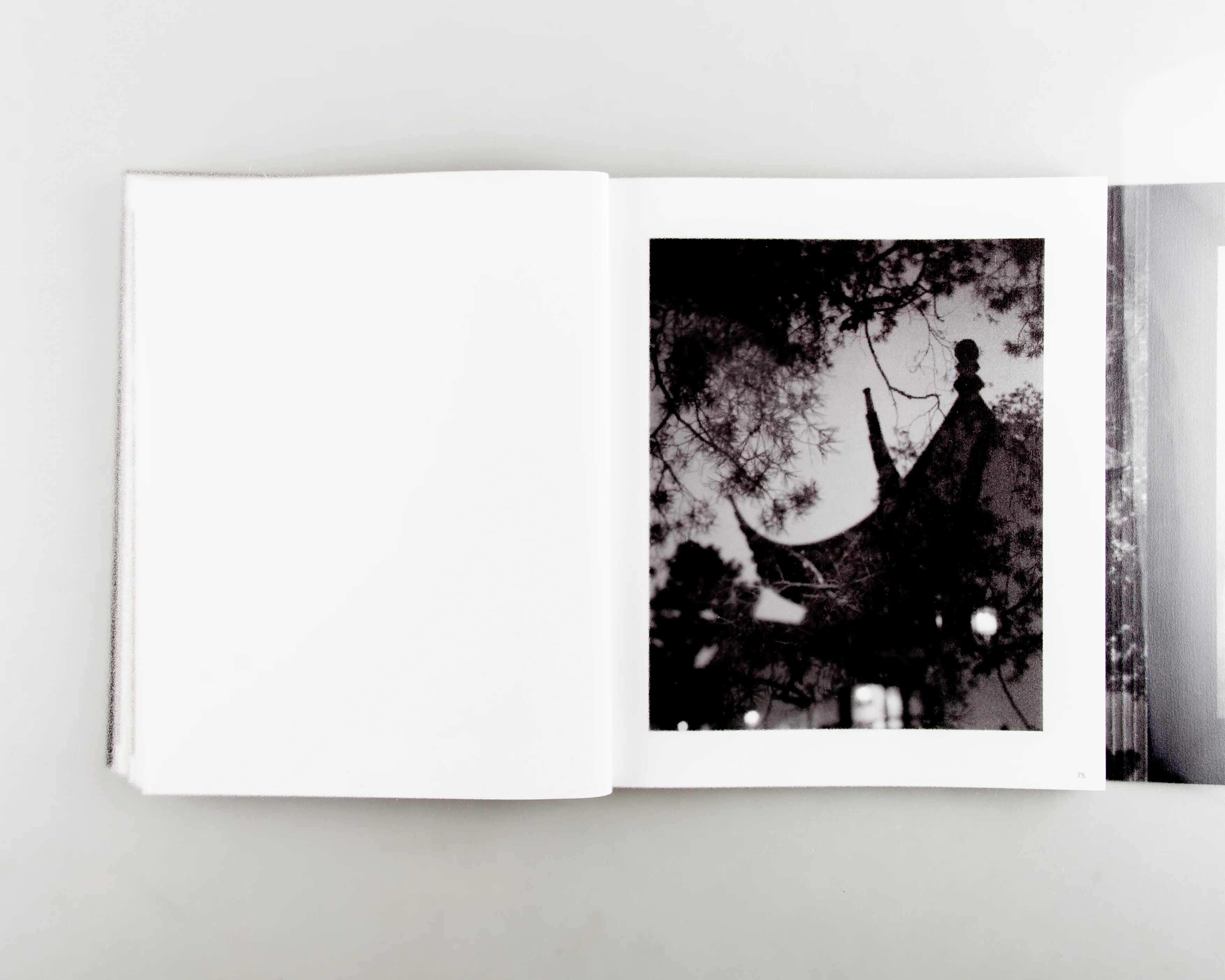 Faërie (不朽的林泉) - Image 6