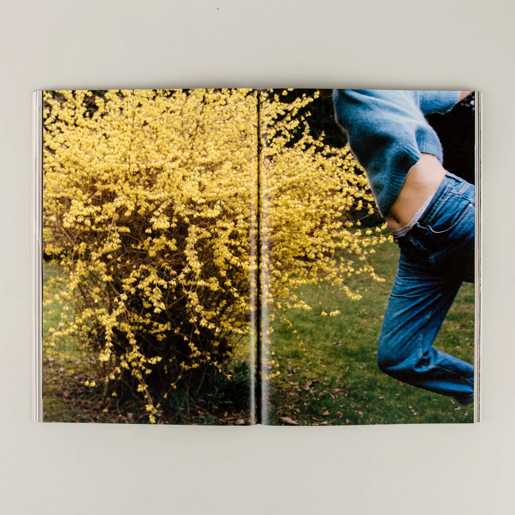 Falling - Image 6