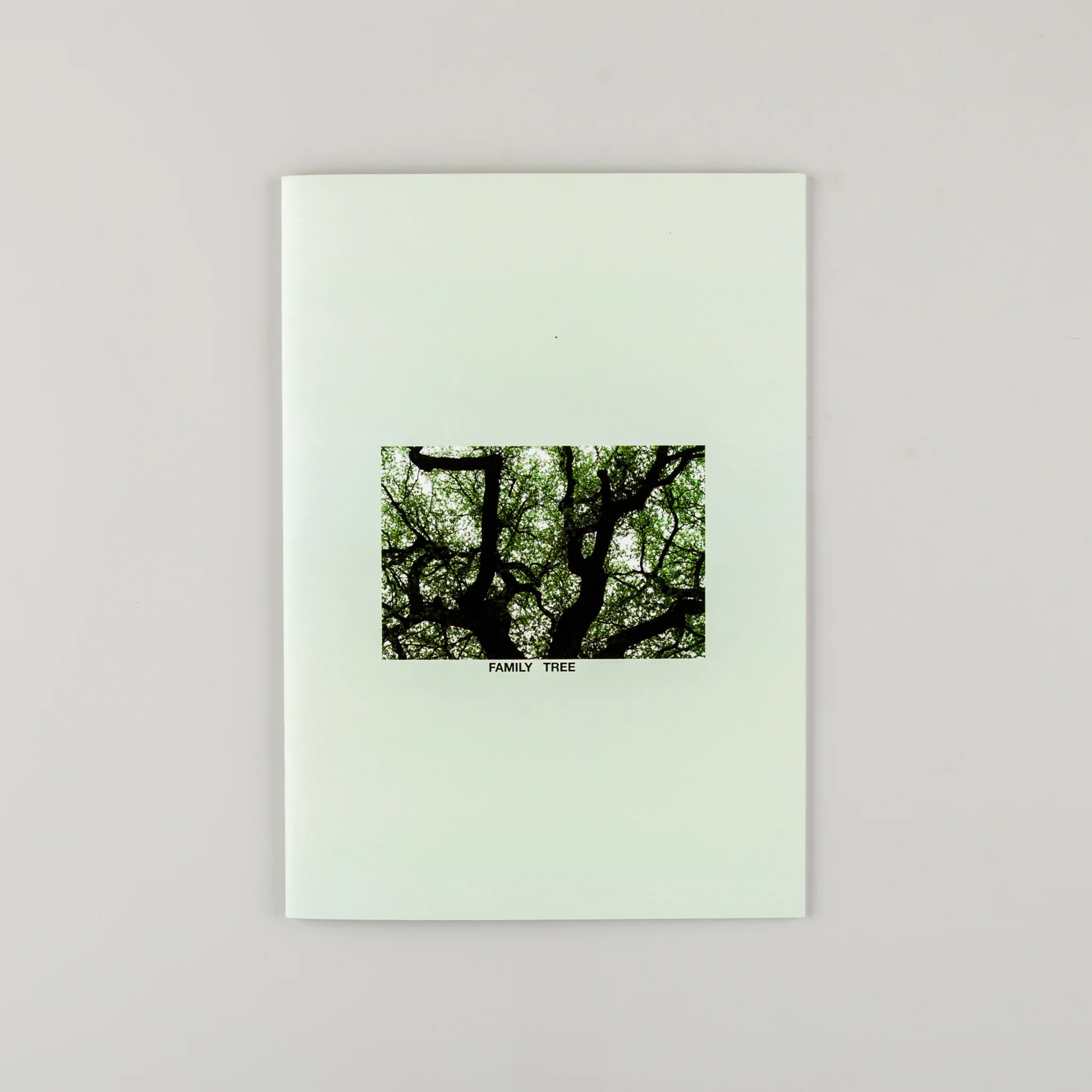 Family Tree - Image 2