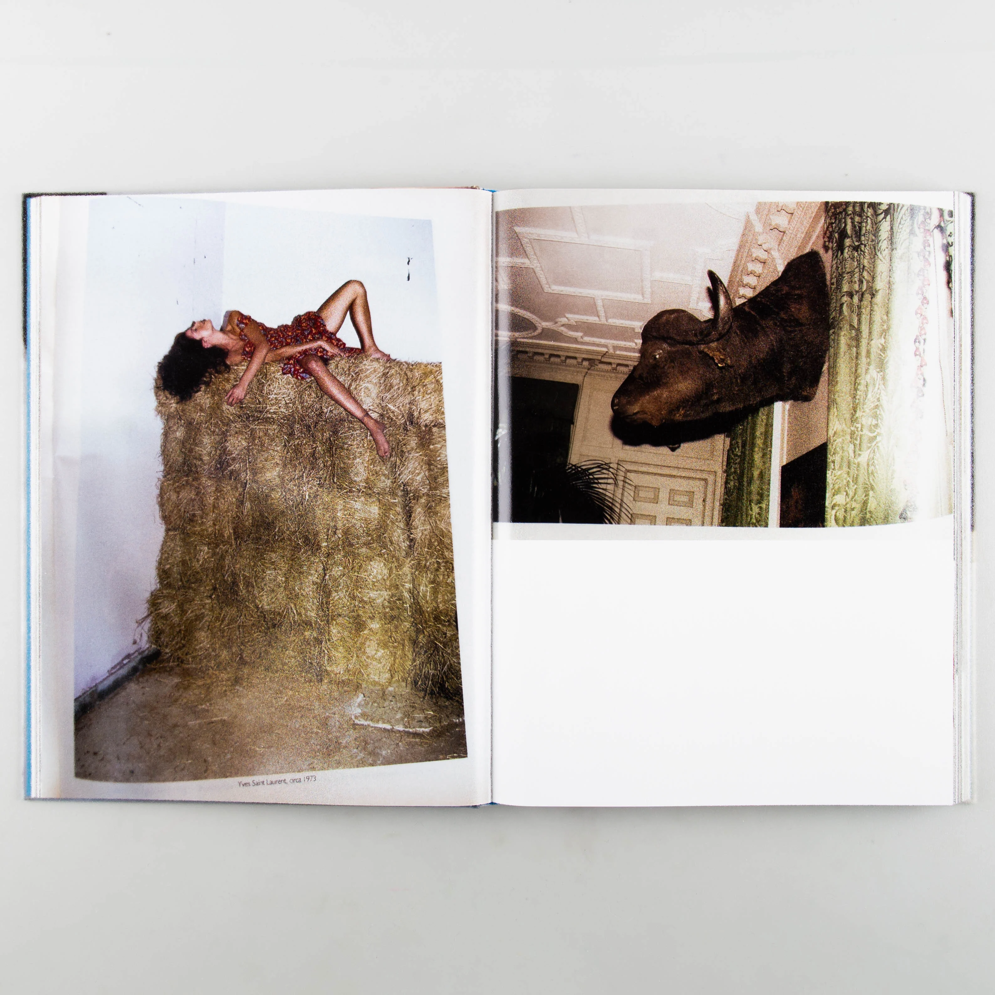 Fashion Photography for America 1999-2016 - Image 3