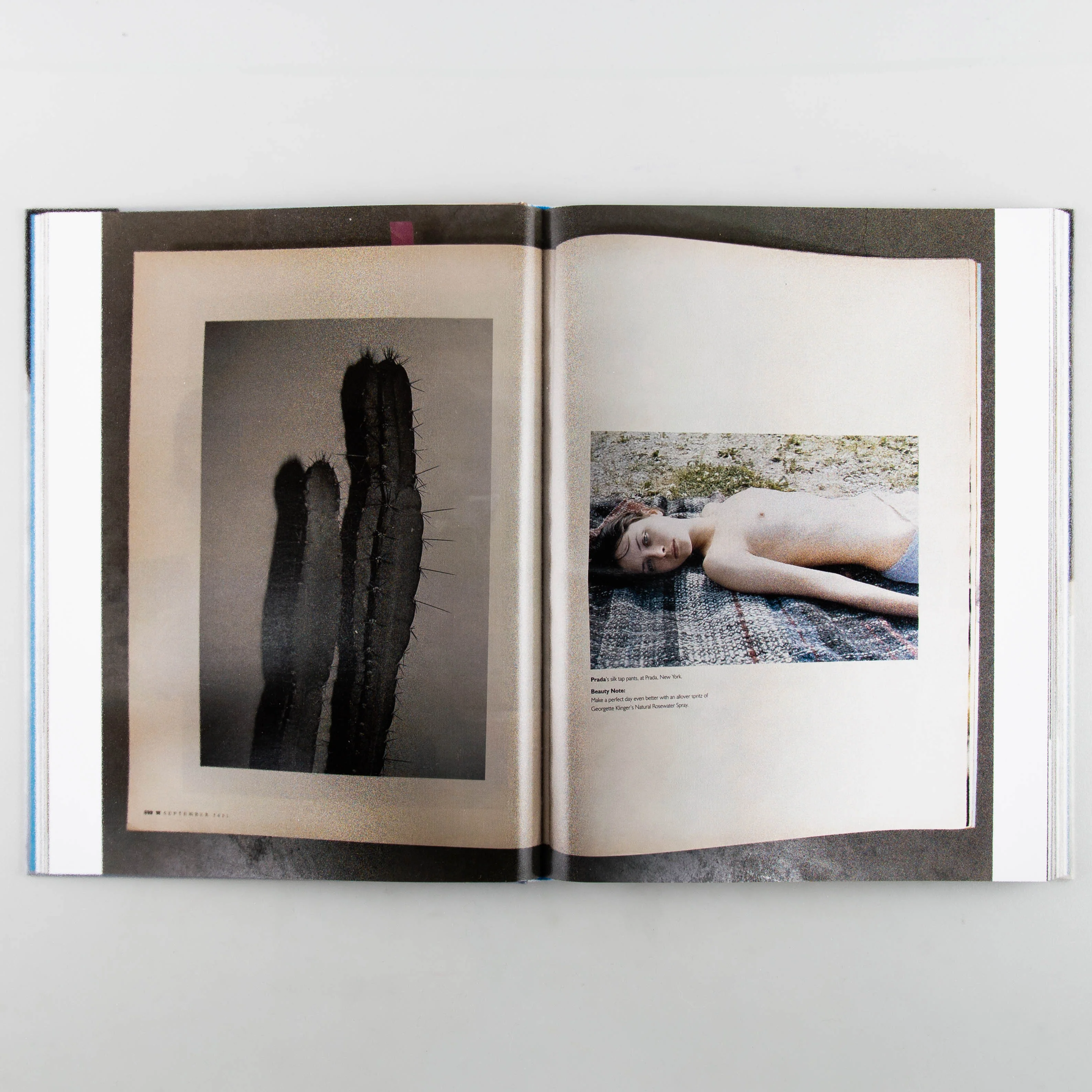 Fashion Photography for America 1999-2016 - Image 4