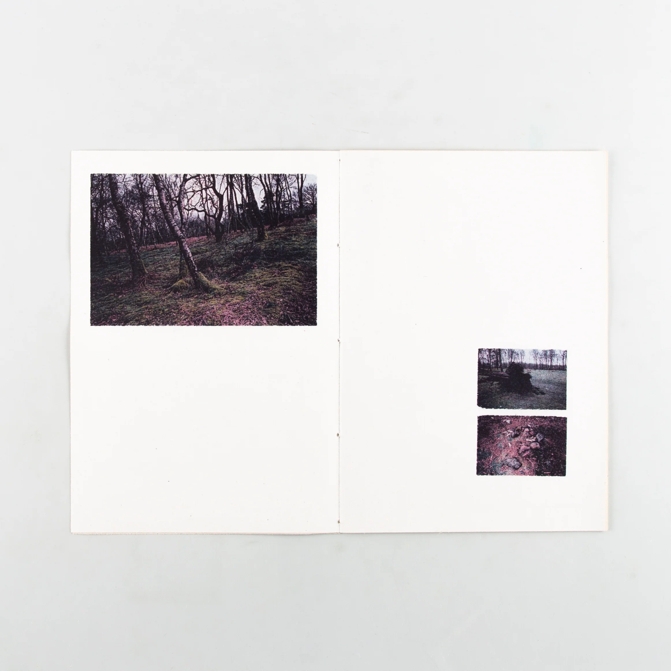 Field Work: Observations in Stillness - Image 2