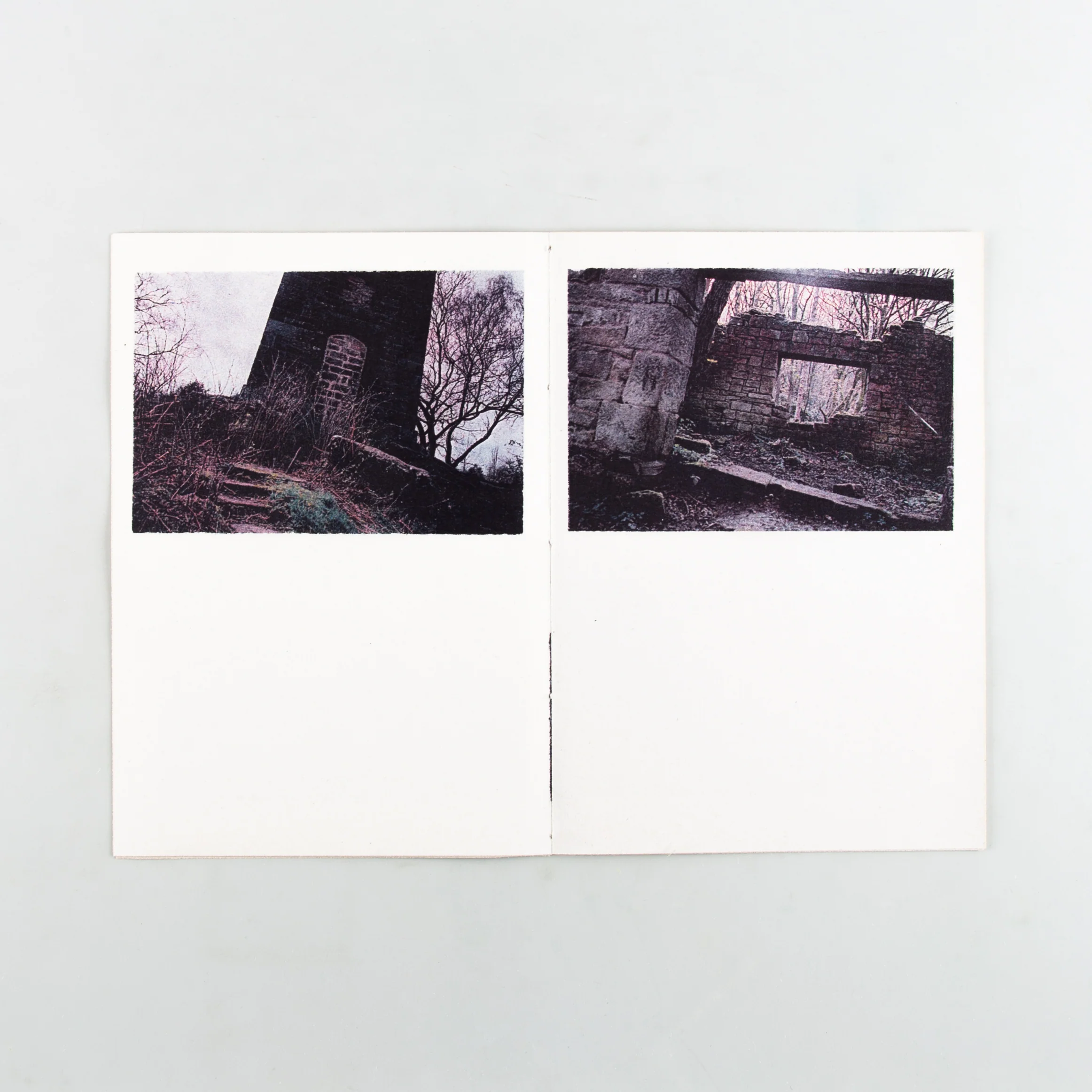 Field Work: Observations in Stillness - Image 3