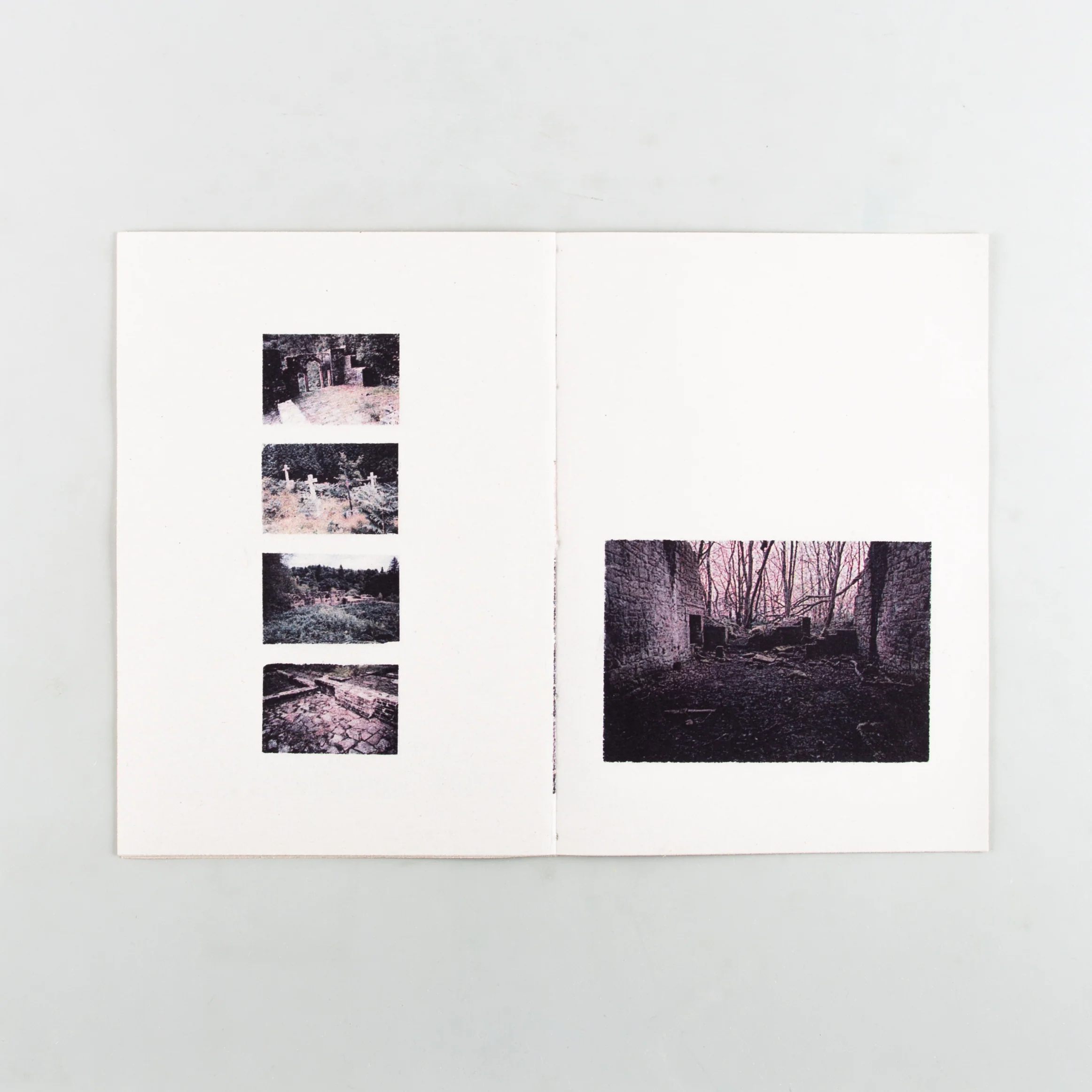 Field Work: Observations in Stillness - Image 4