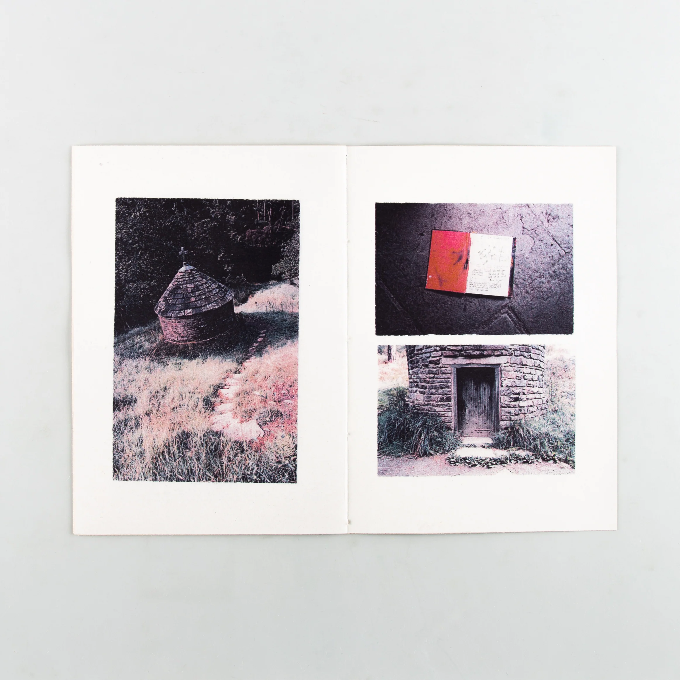 Field Work: Observations in Stillness - Image 5