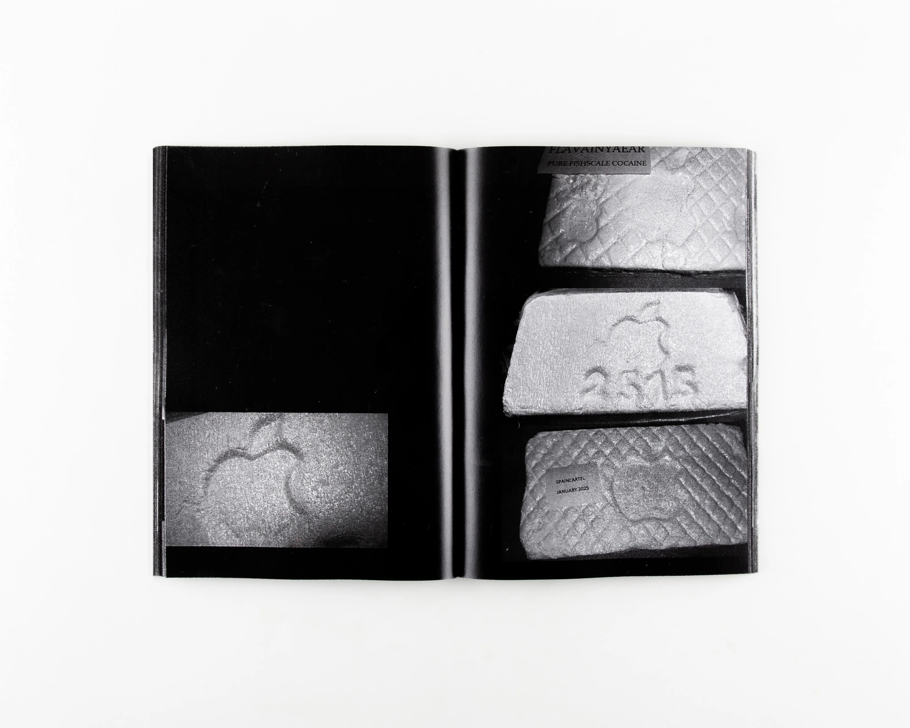 FISH SCALE - Image 11