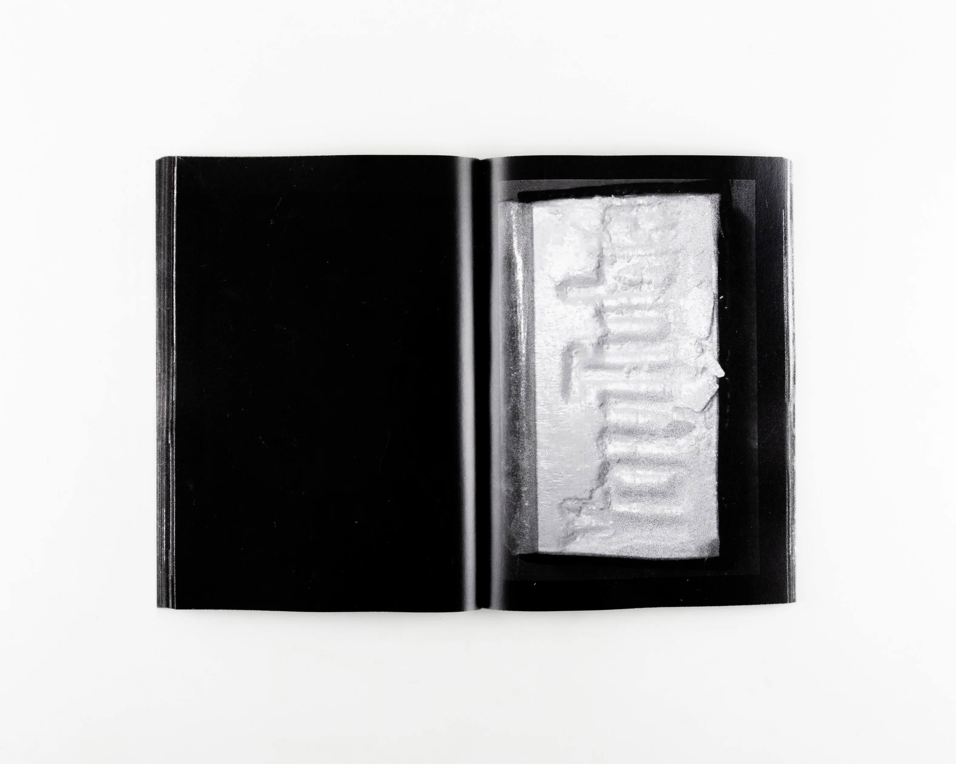 FISH SCALE - Image 9