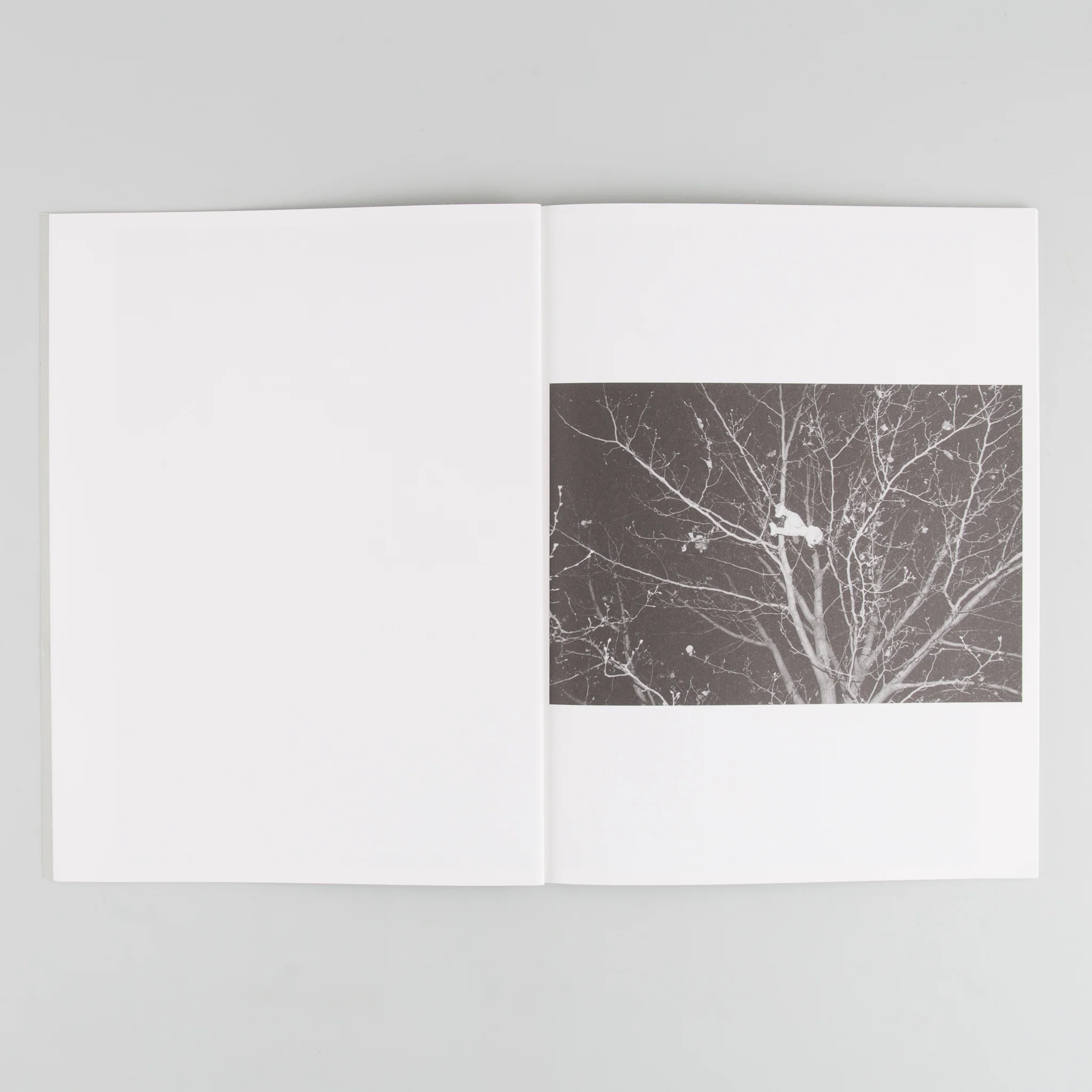 Five Points - Image 3