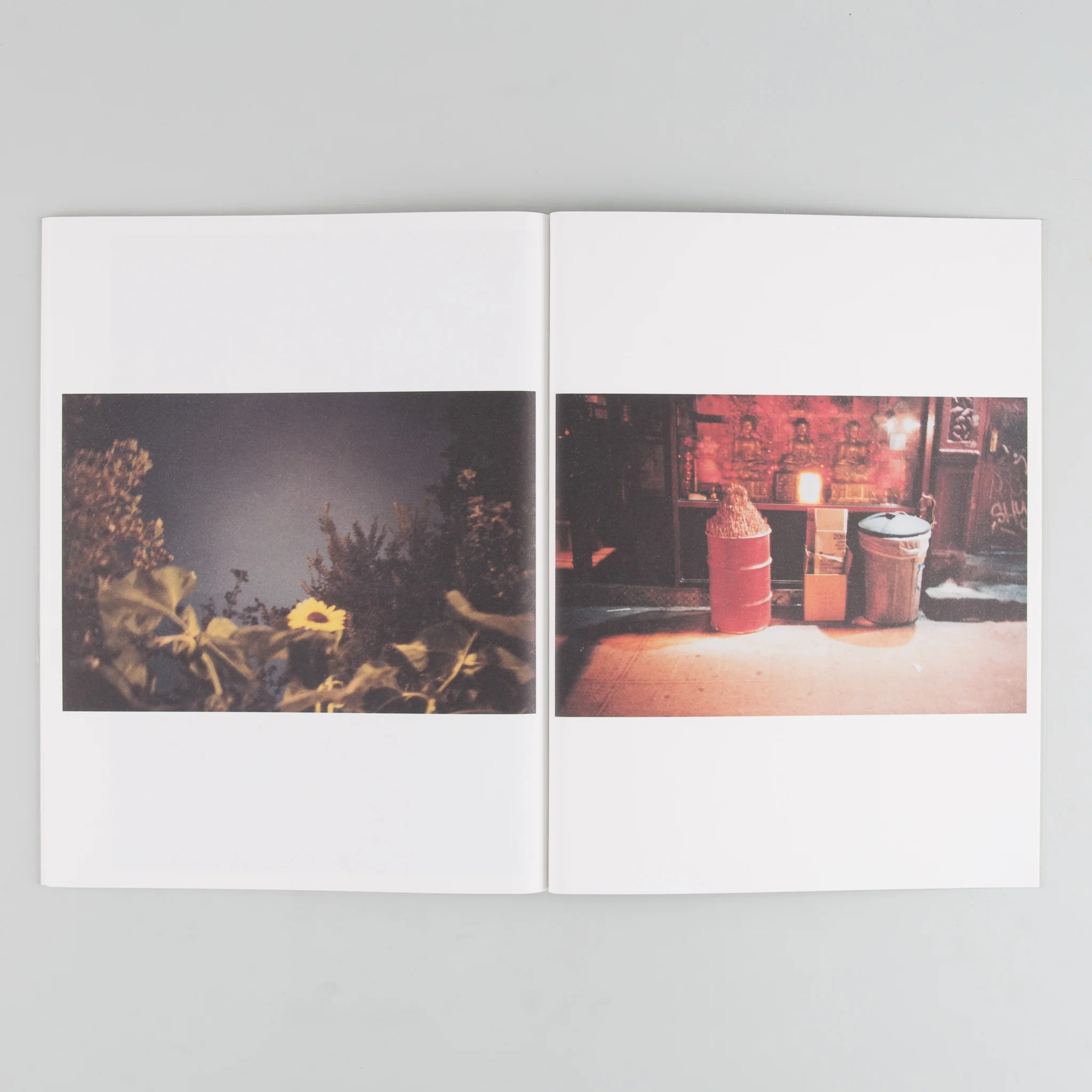 Five Points - Image 7