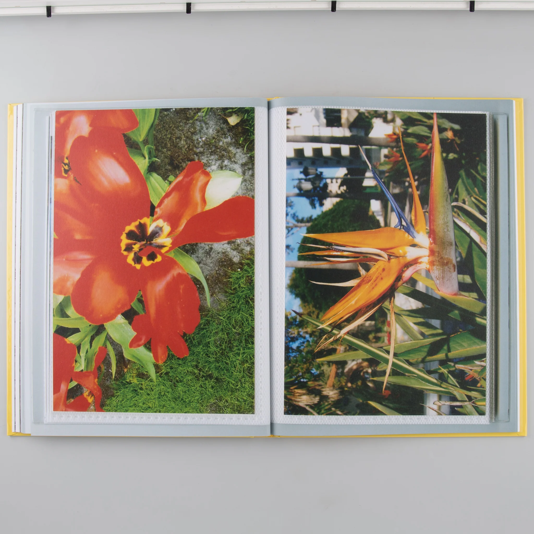 Flower Smuggler - Image 6
