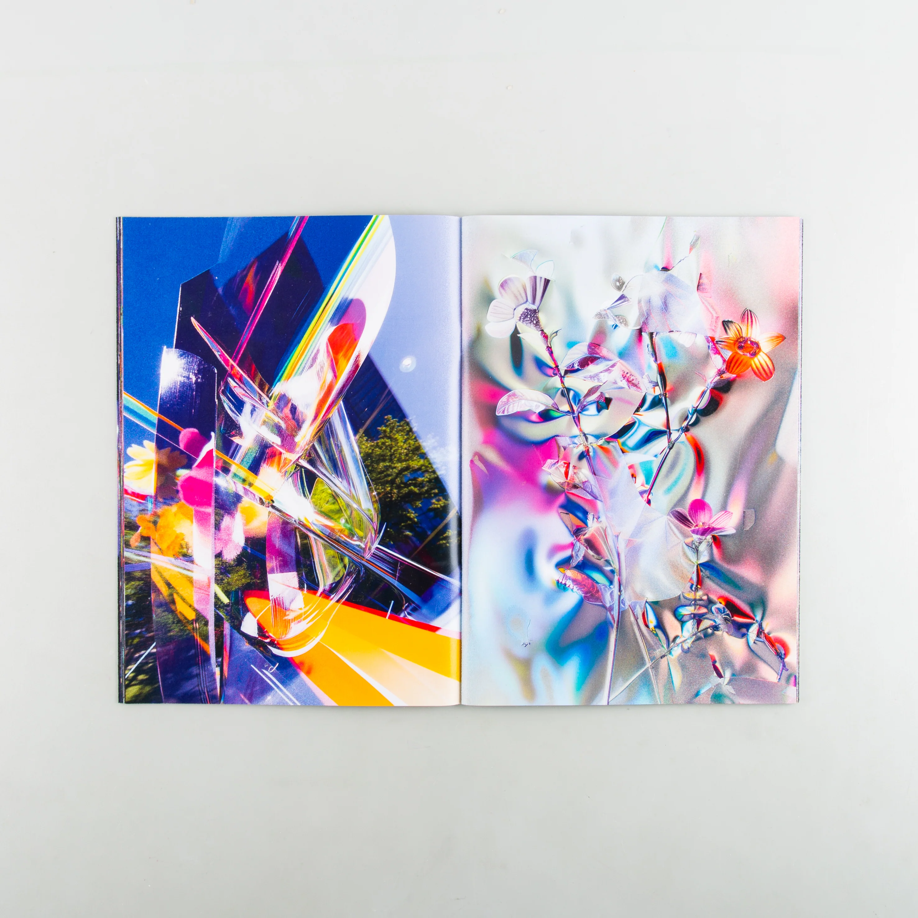FLOWERS - Image 4