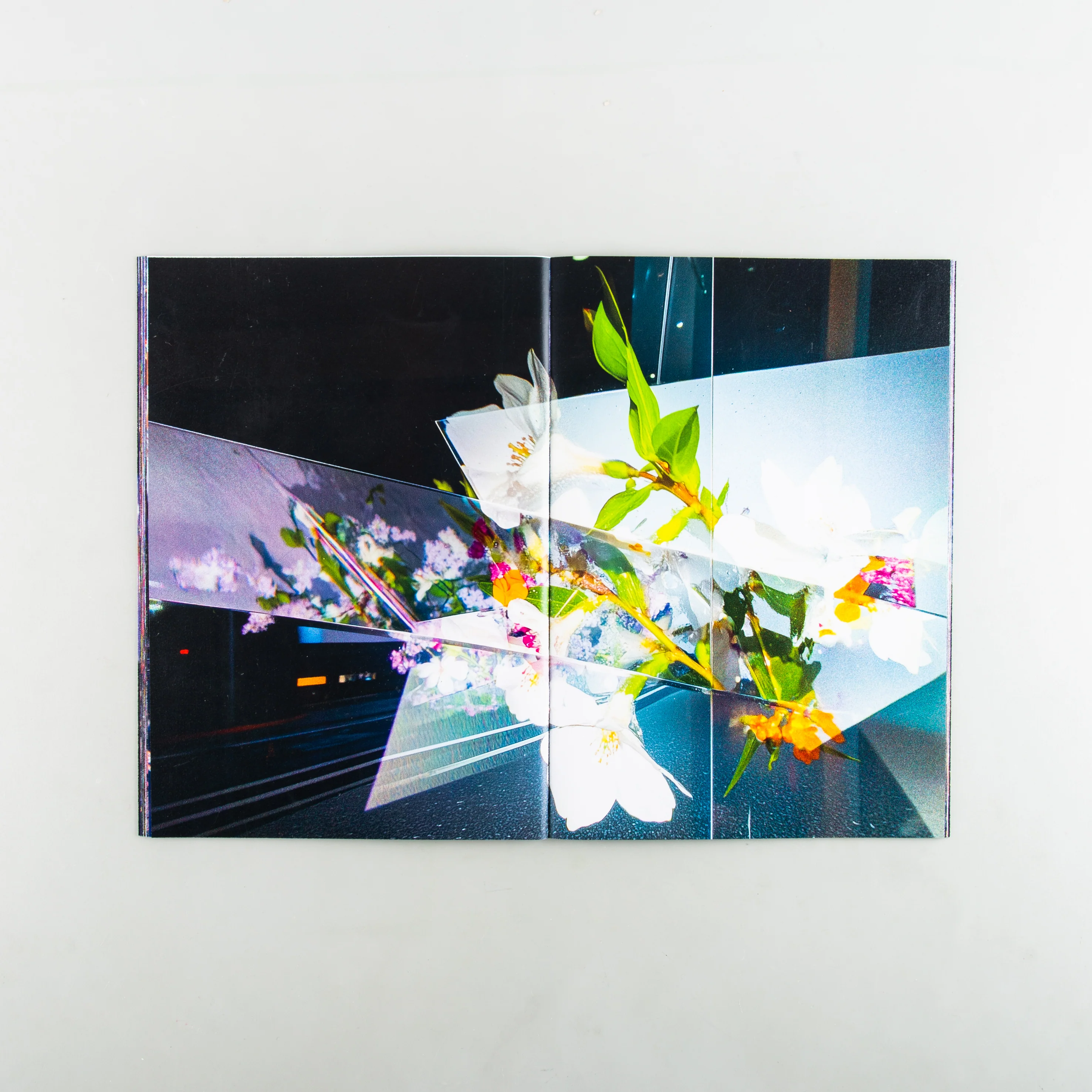 FLOWERS - Image 7