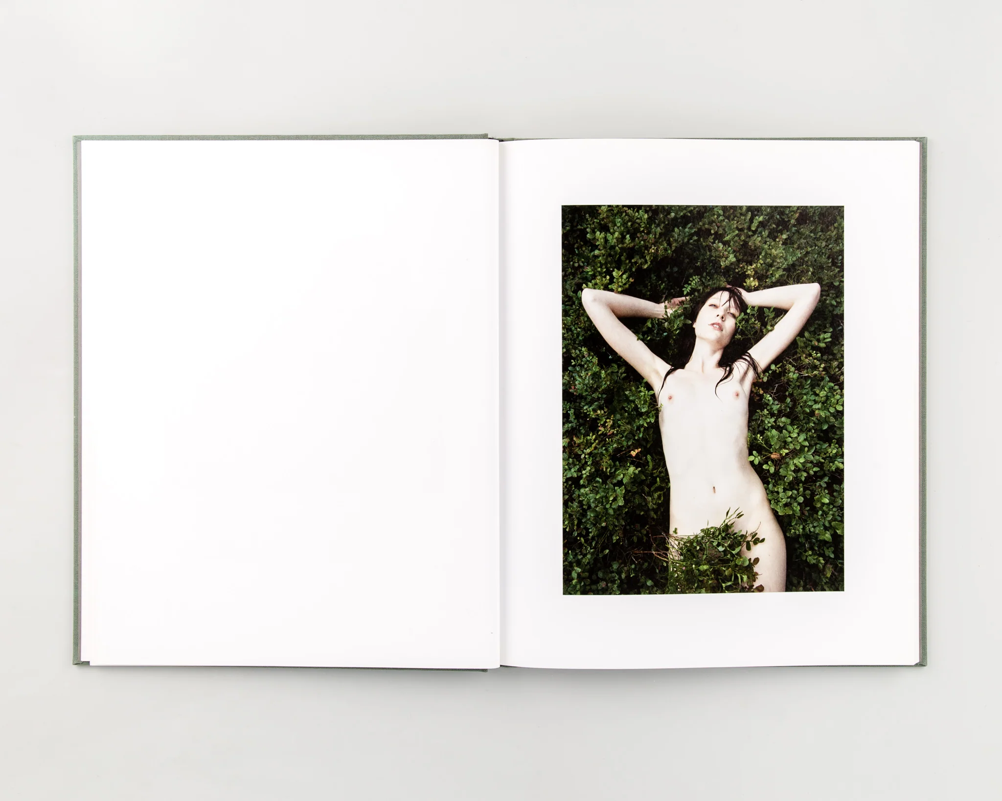 Flowers Shall Grow - Image 6