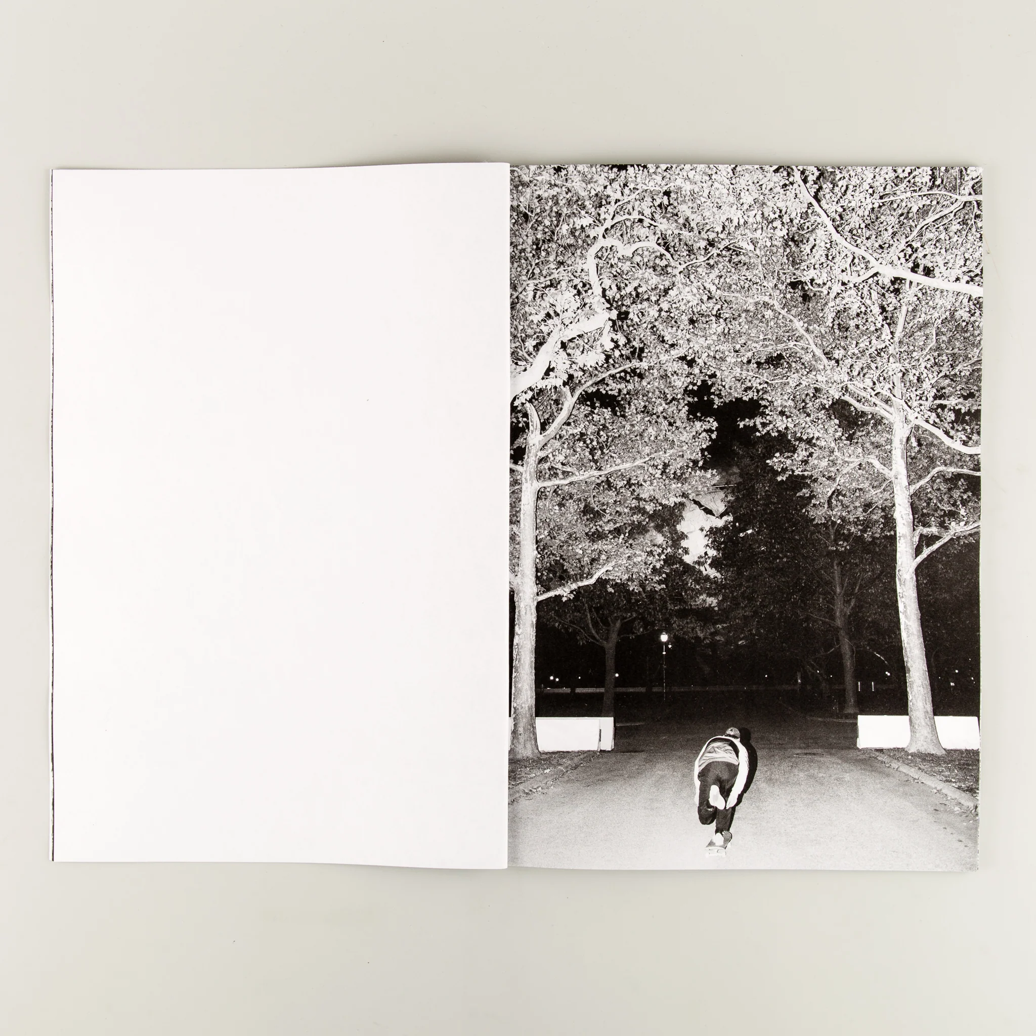 Flushing Meadows - Image 2
