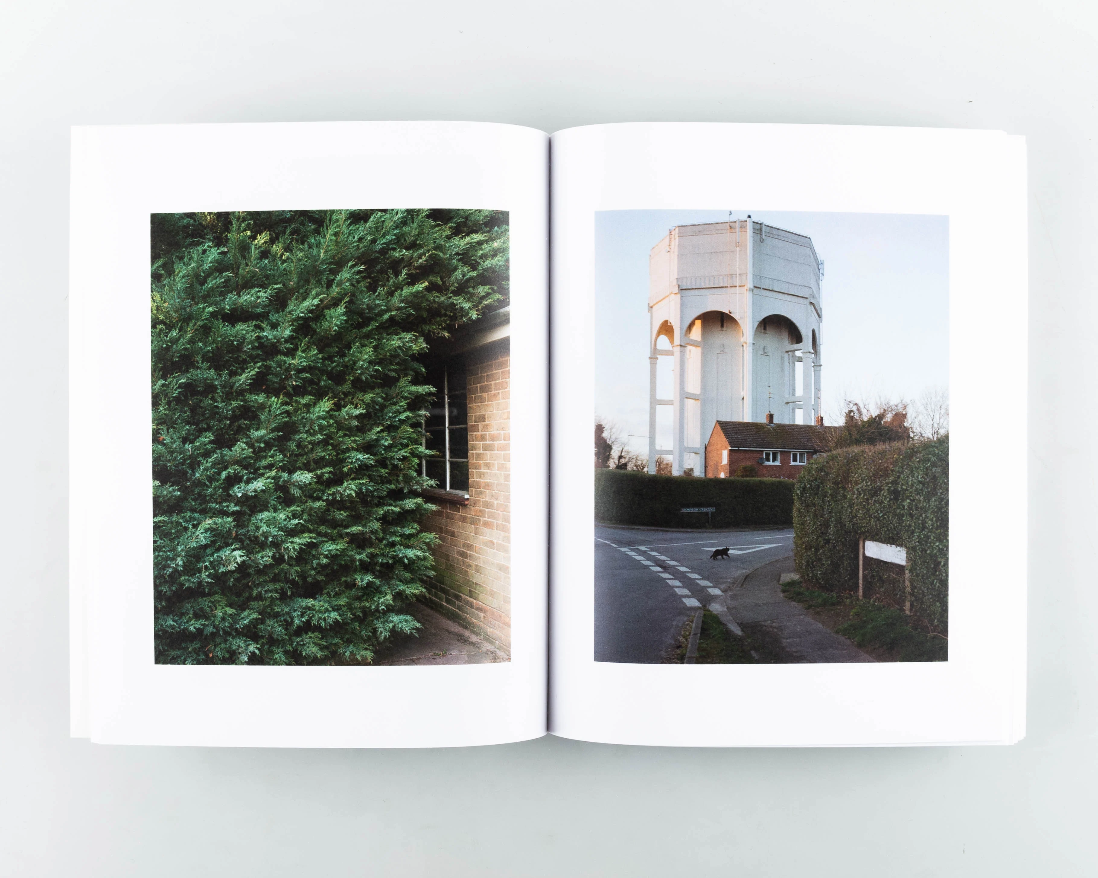 Forelsket - Image 5