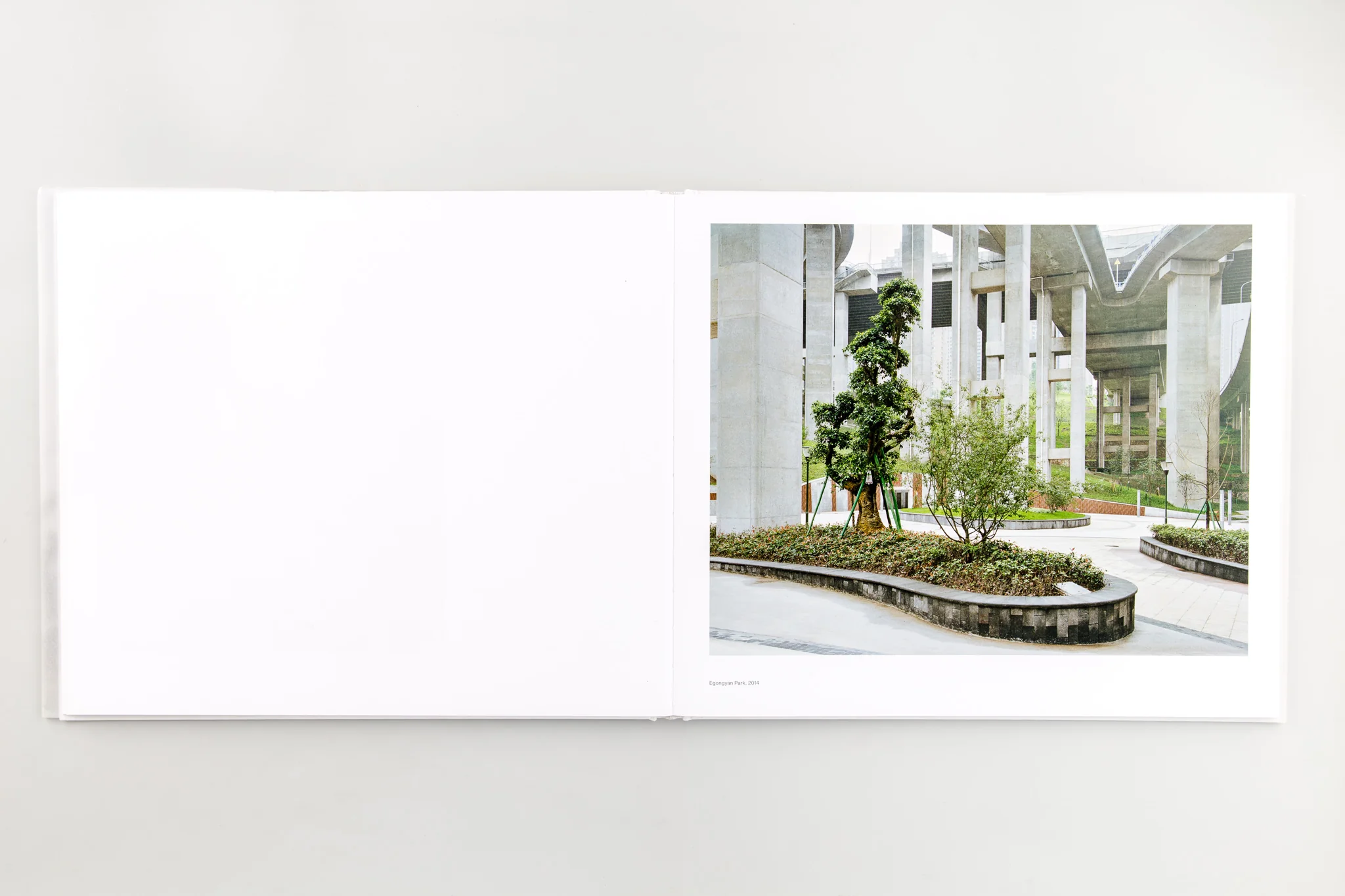 Forest - Image 12