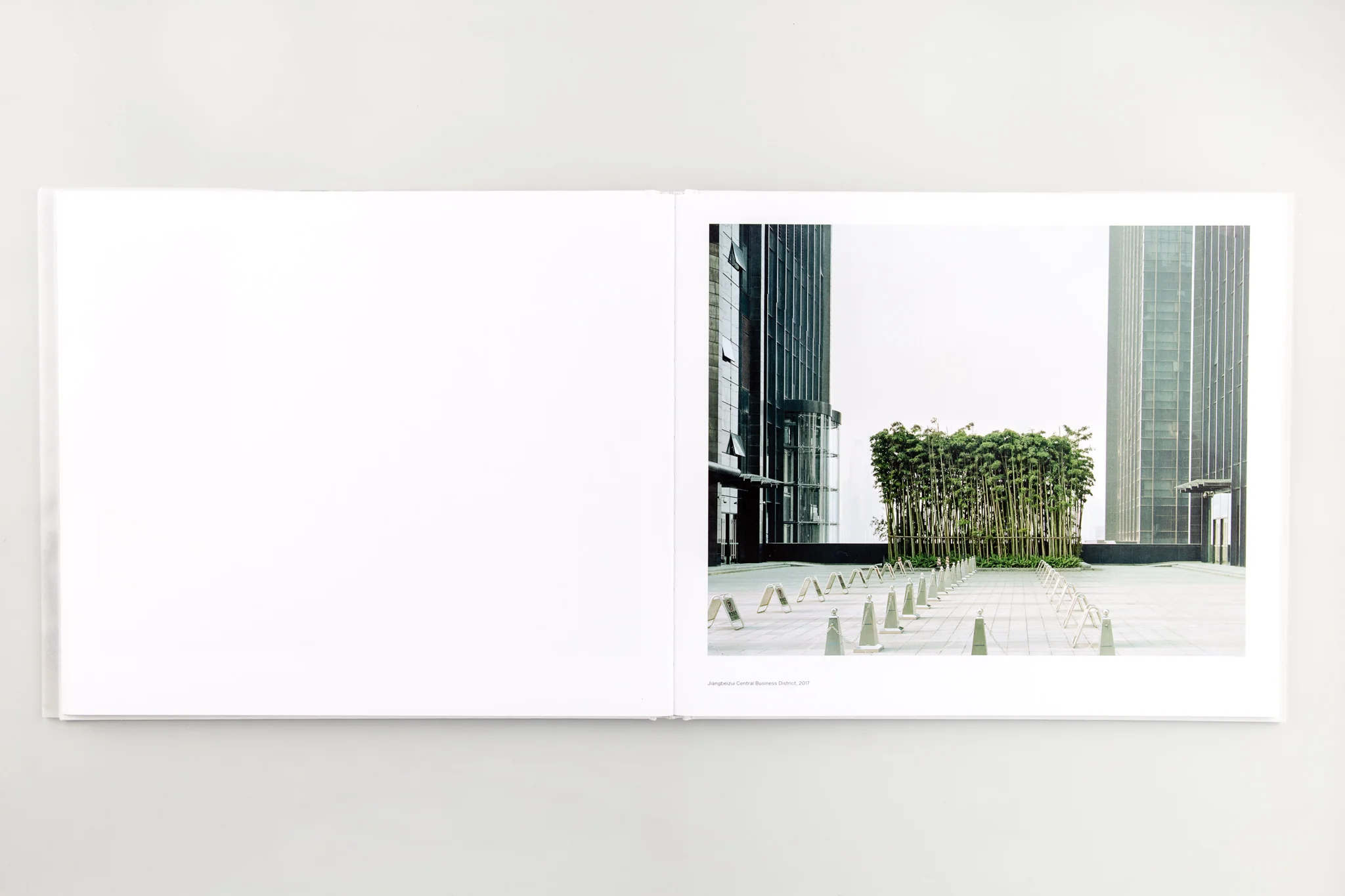 Forest - Image 13