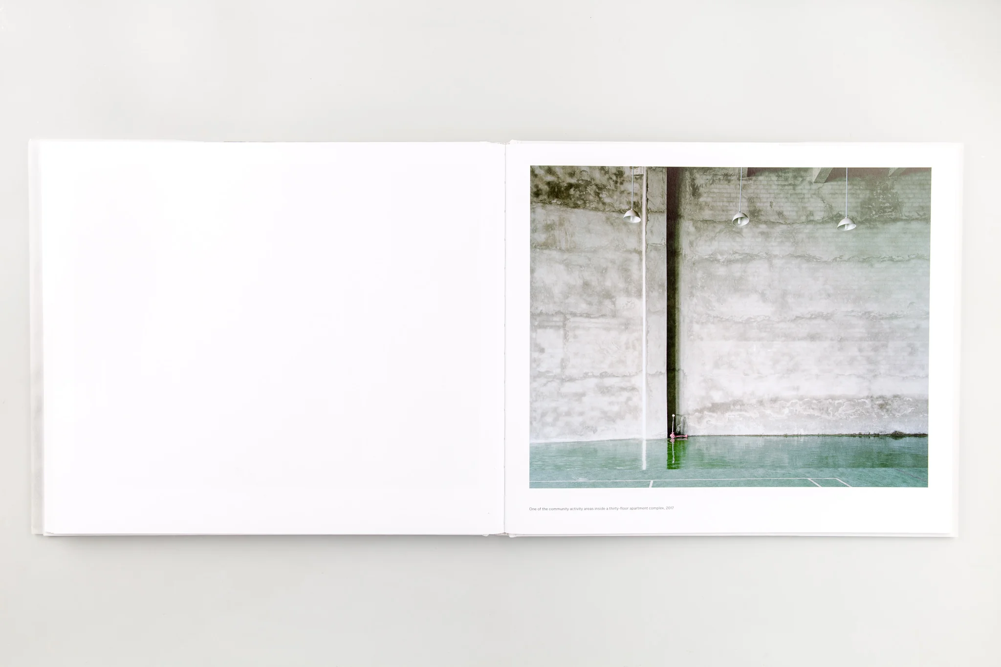 Forest - Image 14