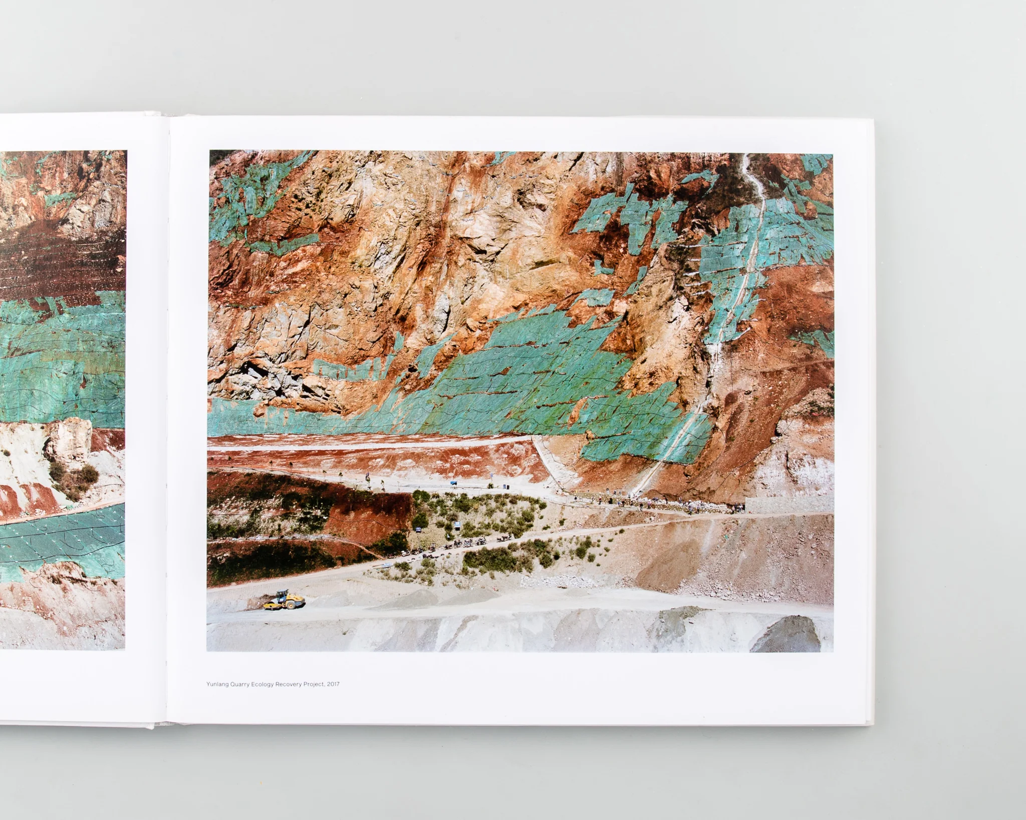 Forest - Image 6