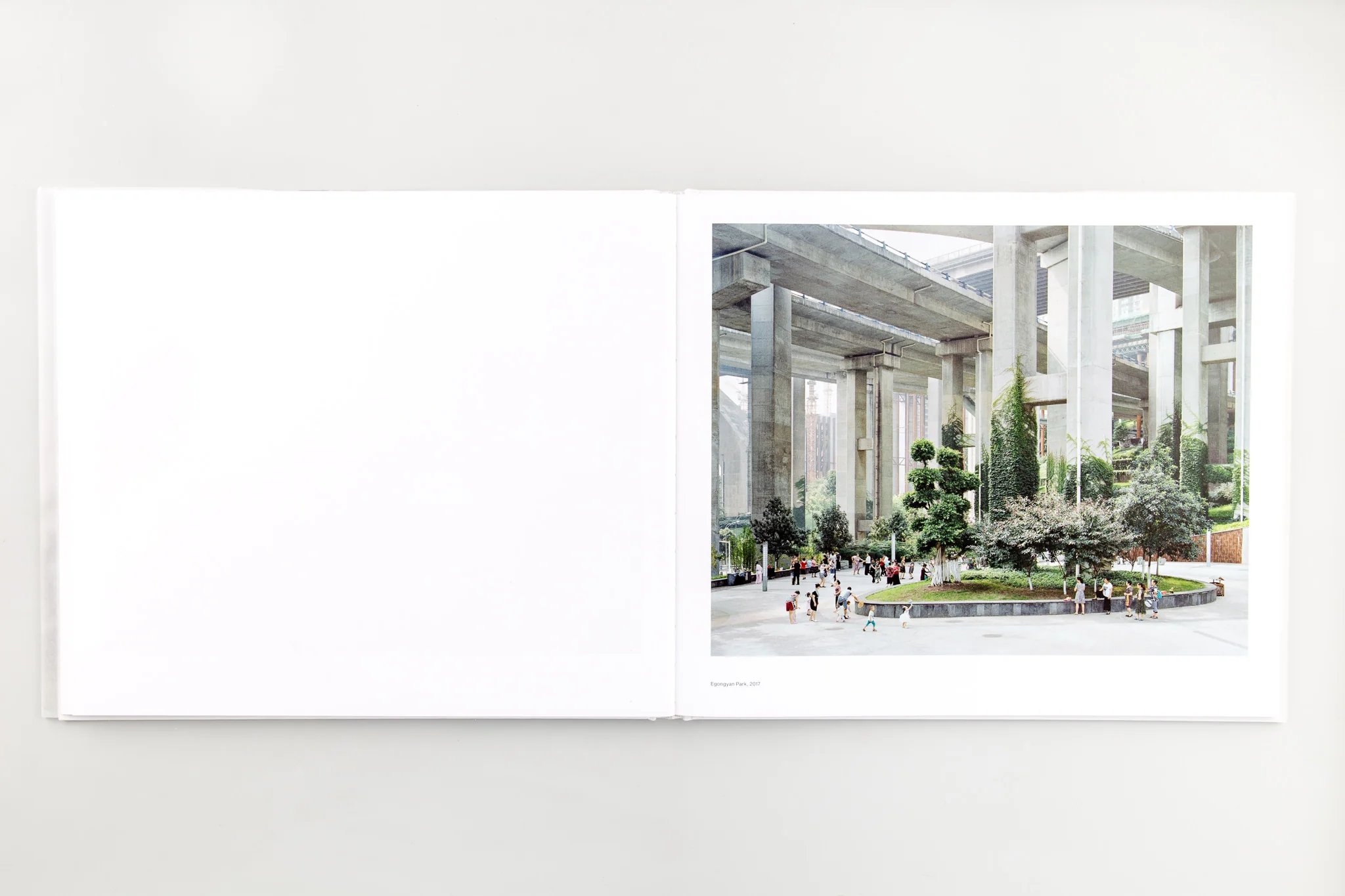 Forest - Image 8