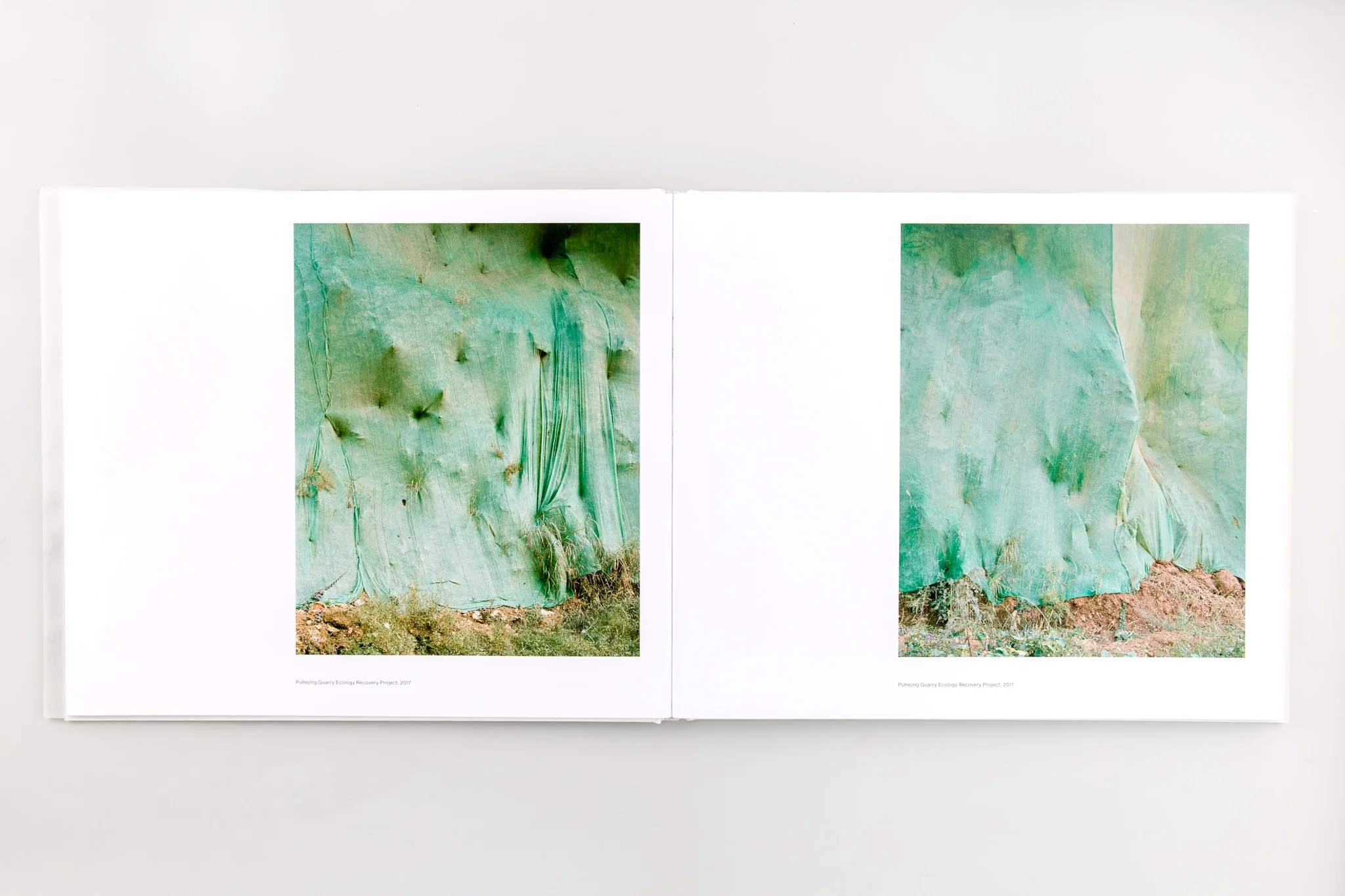 Forest - Image 9