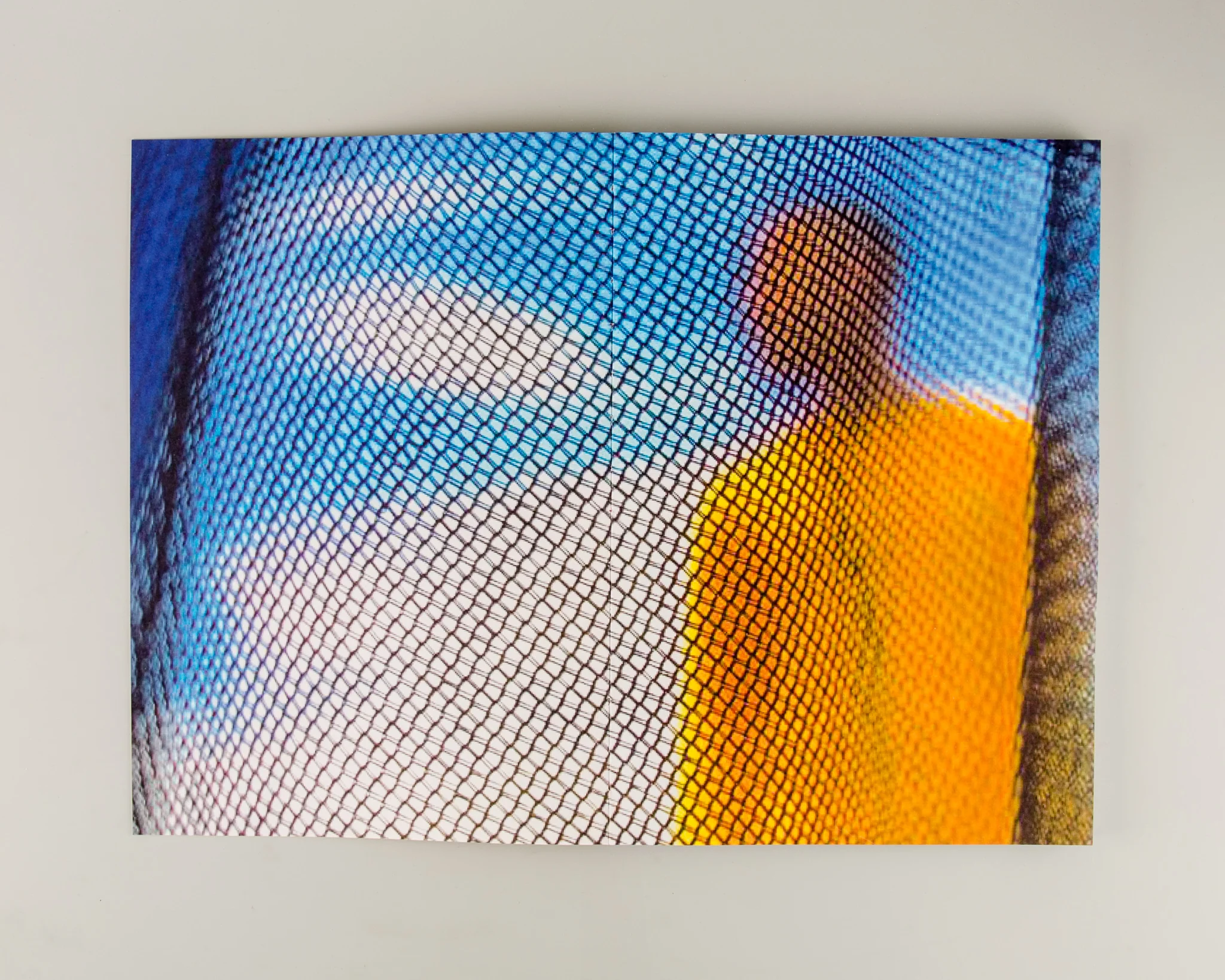 GapTooth - Image 13
