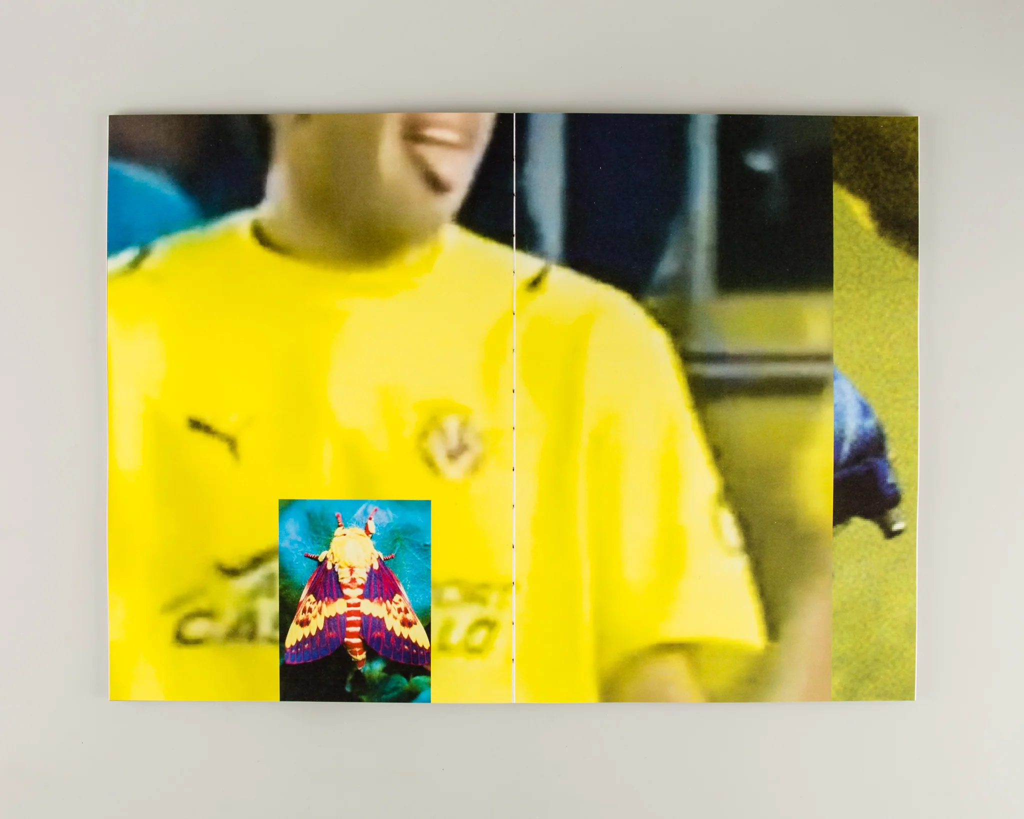 GapTooth - Image 7