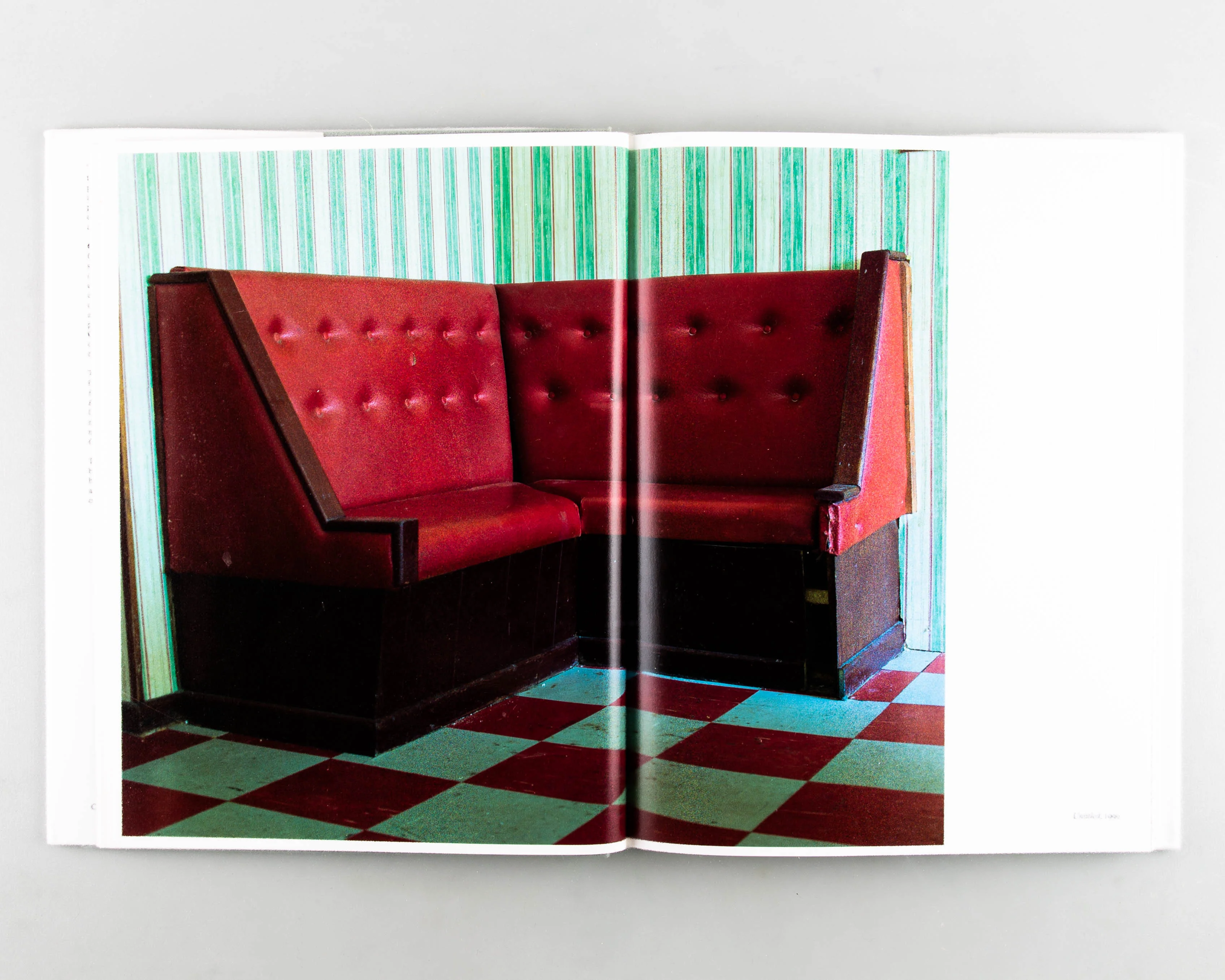 Gareth McConnell – A Photoworks Monograph - Image 2