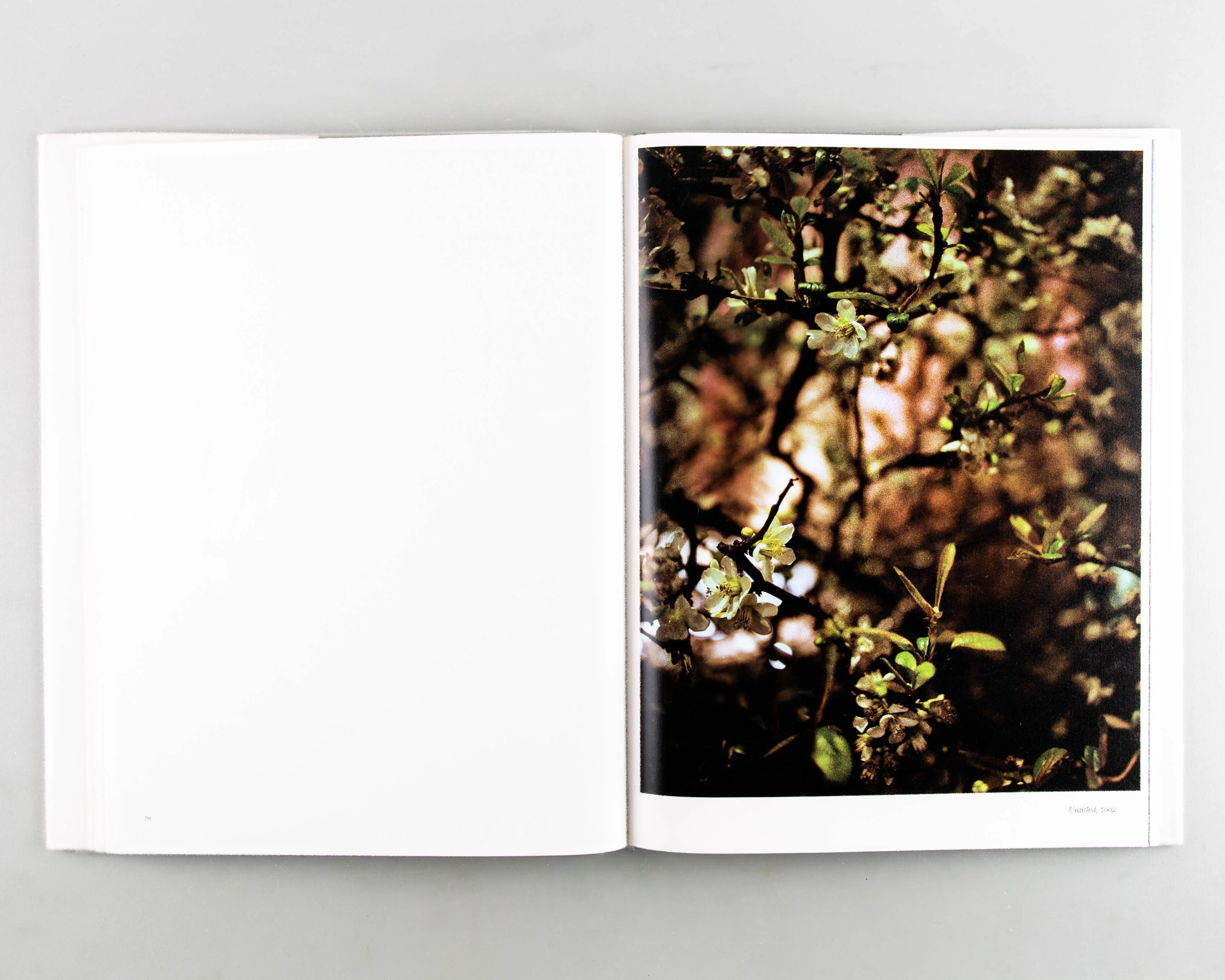 Gareth McConnell – A Photoworks Monograph - Image 5