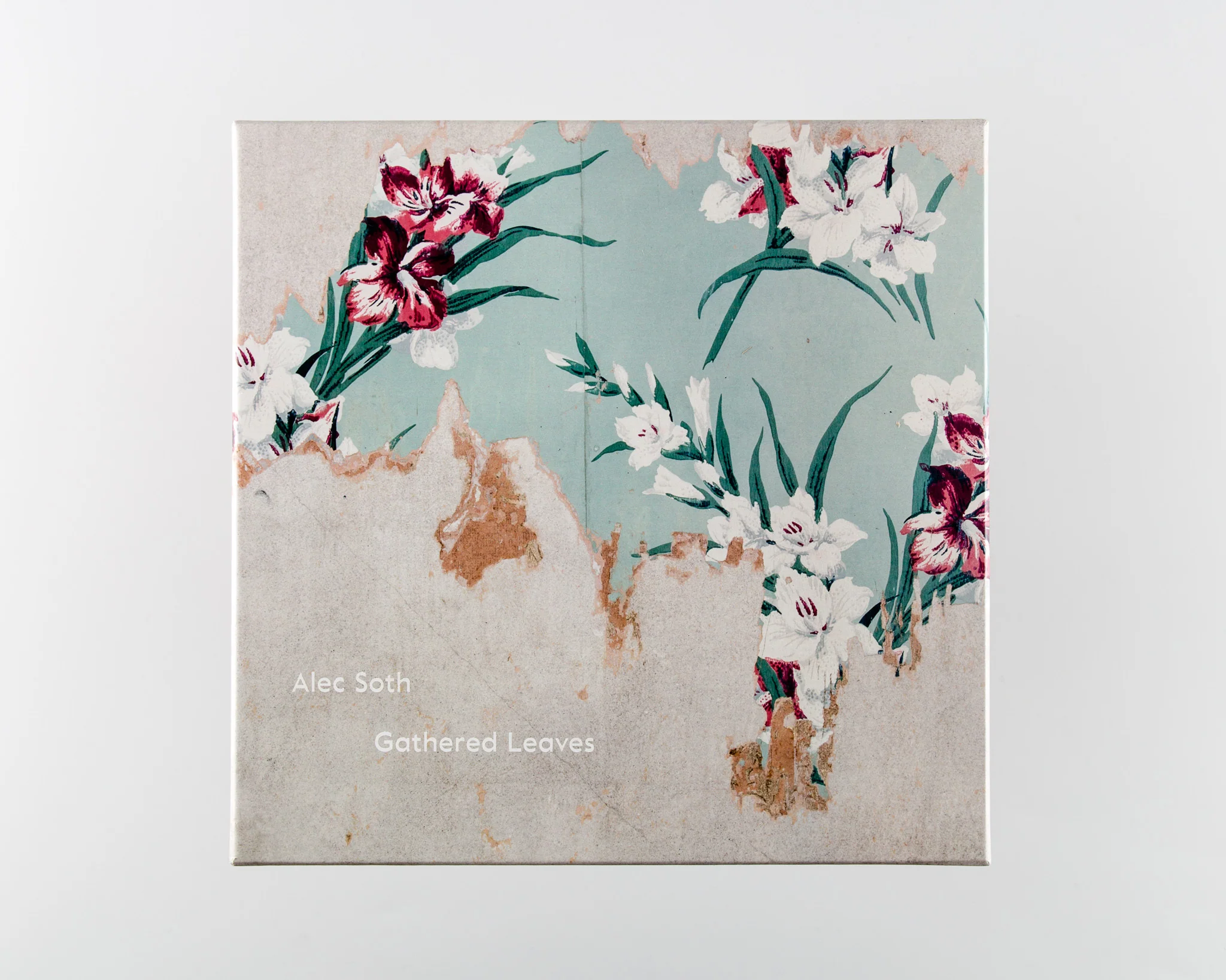 Gathered Leaves (SIGNED) - Image 2