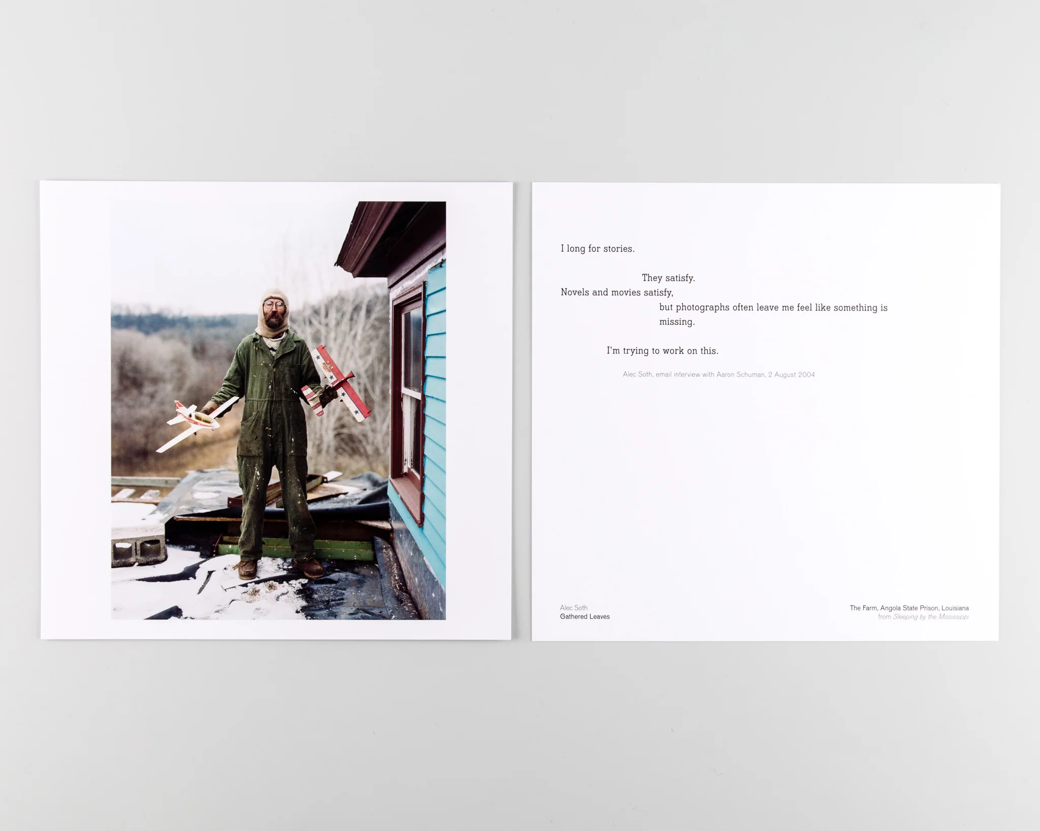 Gathered Leaves (SIGNED) - Image 5