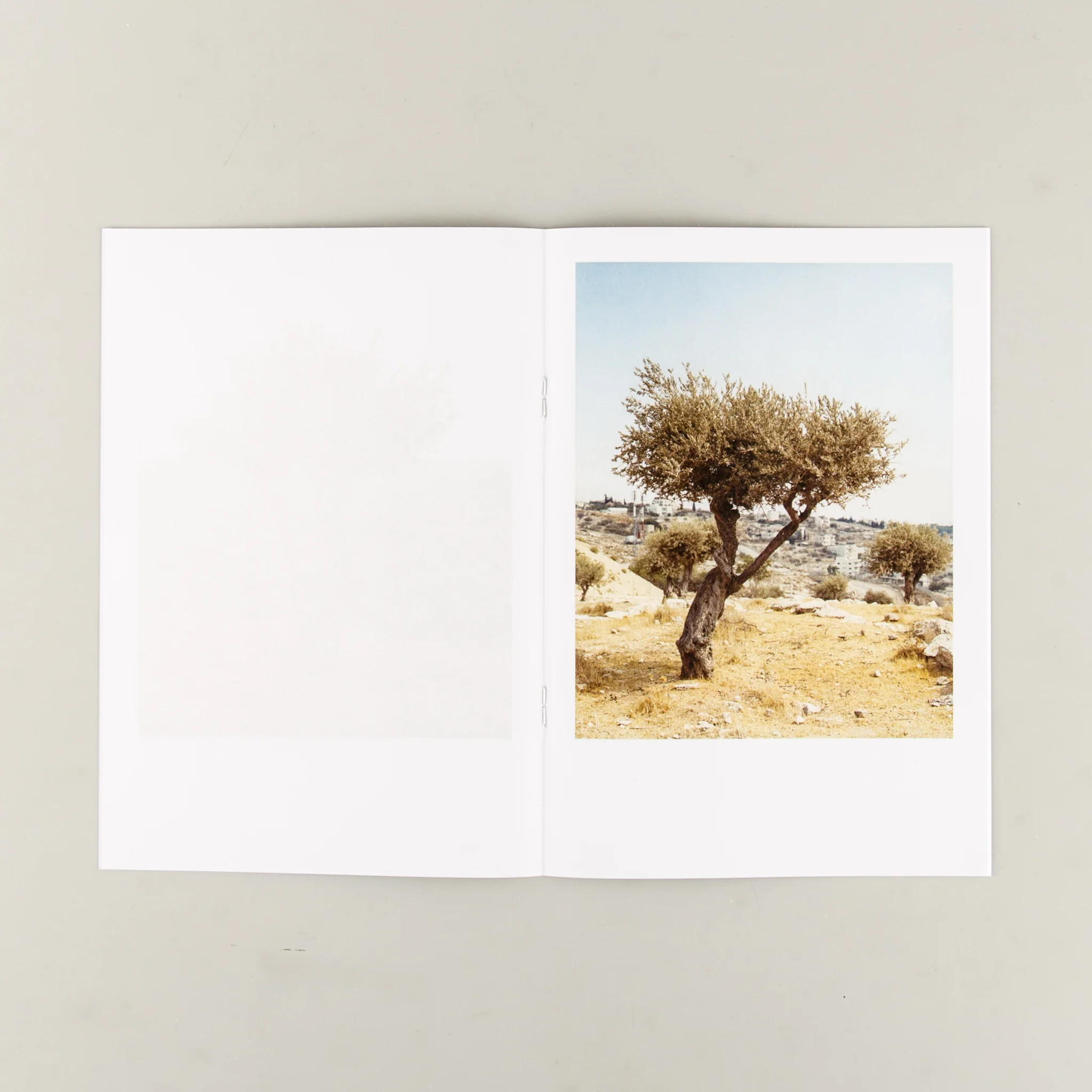 Gethsemane - Image 3