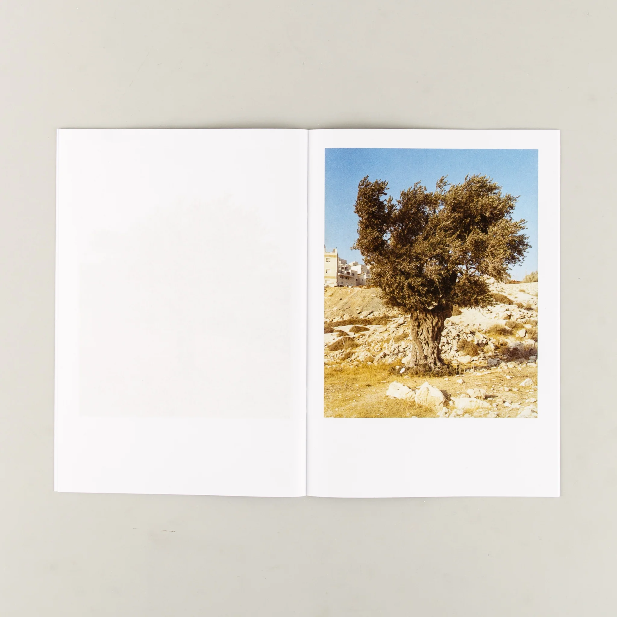 Gethsemane - Image 4