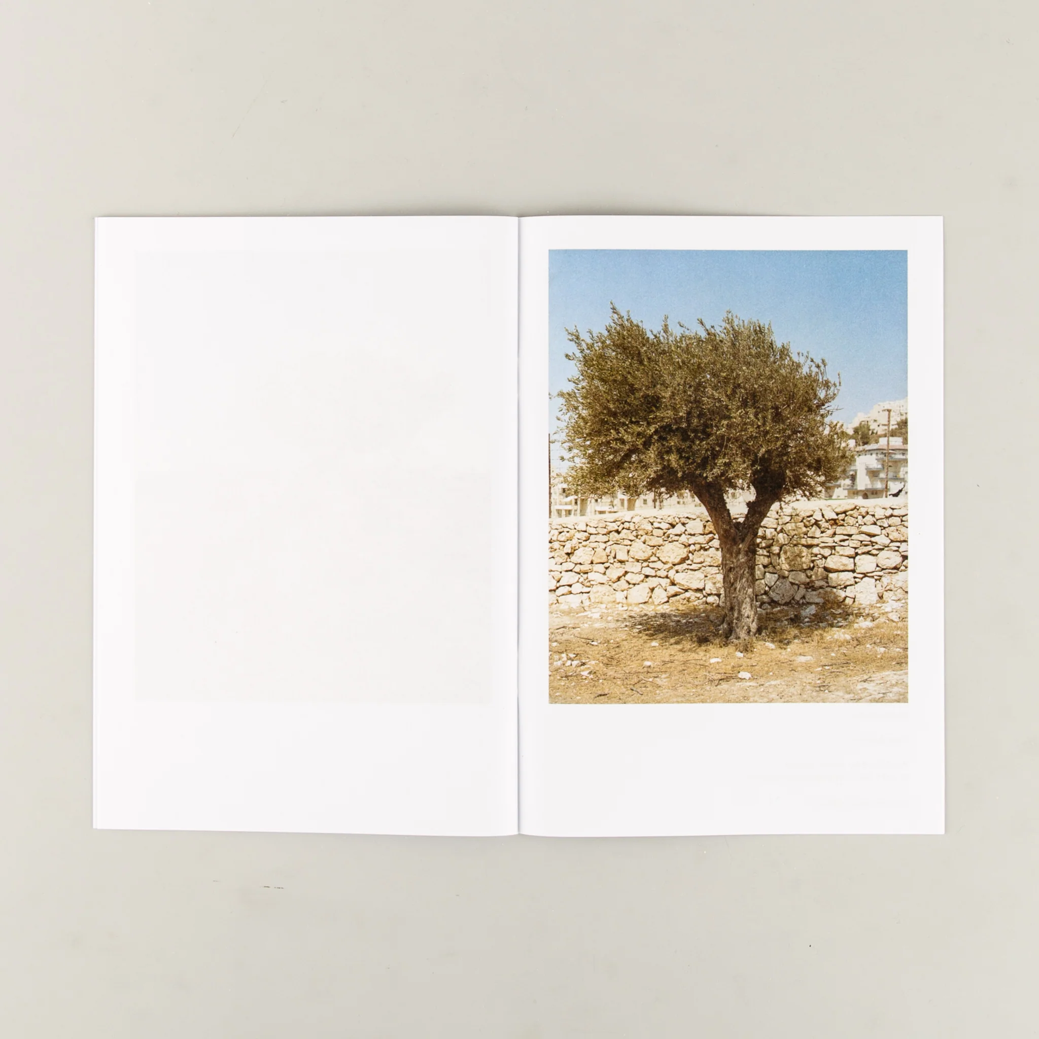 Gethsemane - Image 5