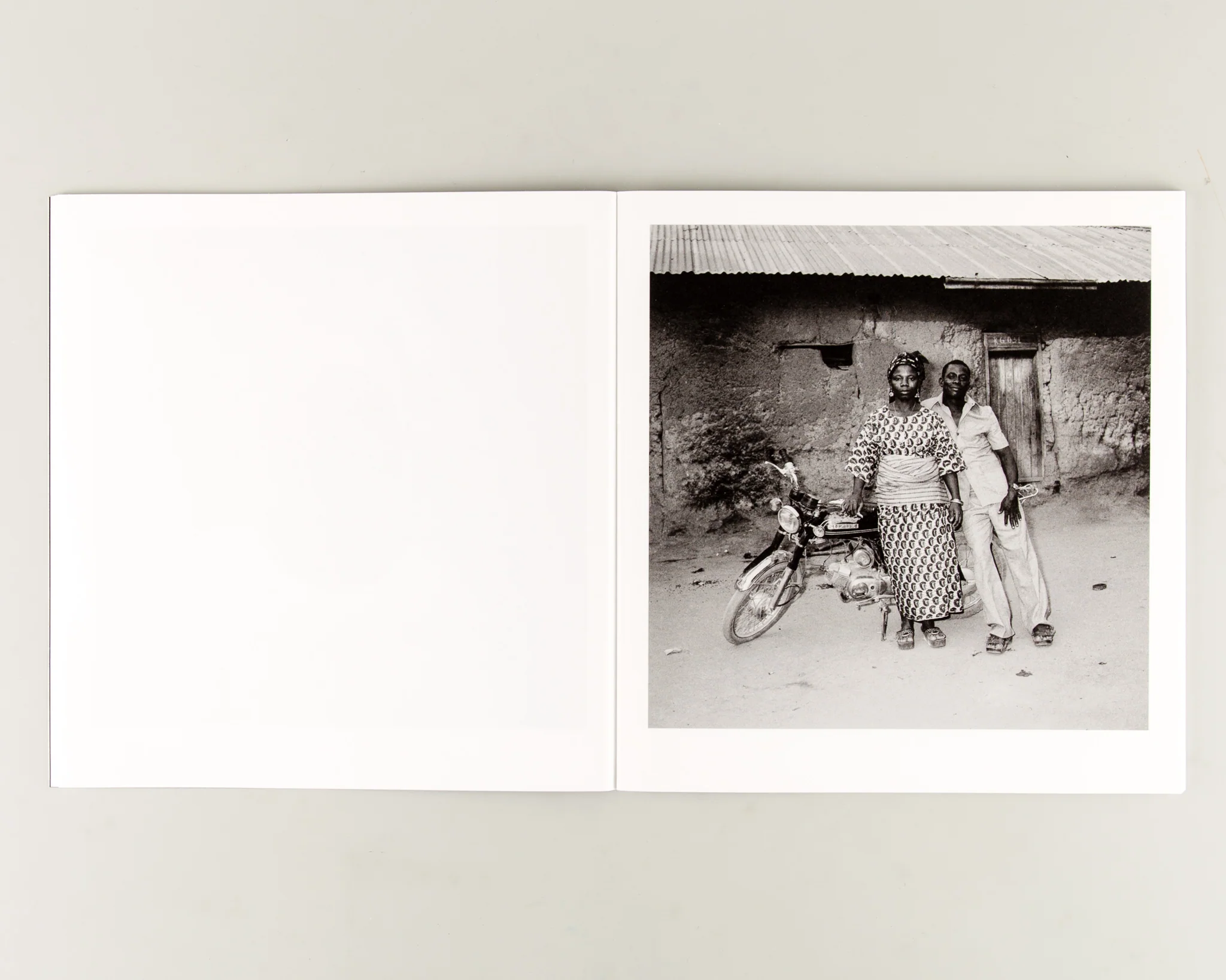 Gloire Immortelle - Image 3