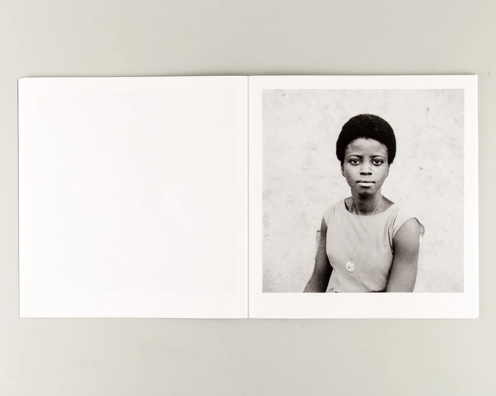 Gloire Immortelle - Image 4