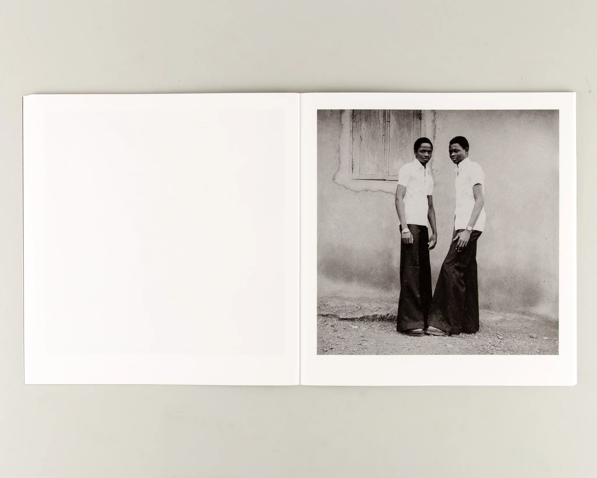 Gloire Immortelle - Image 5