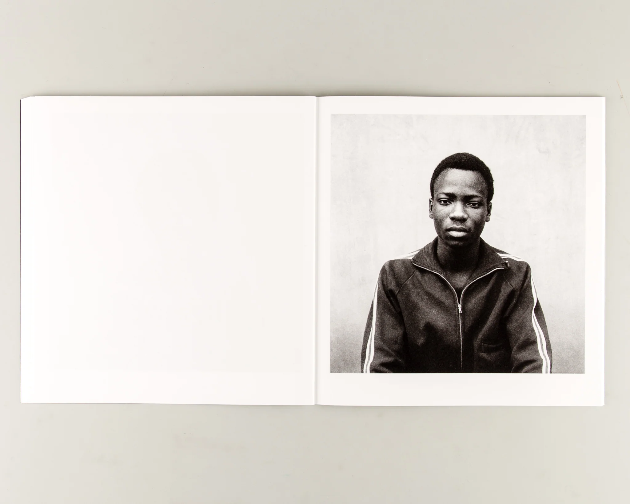 Gloire Immortelle - Image 7
