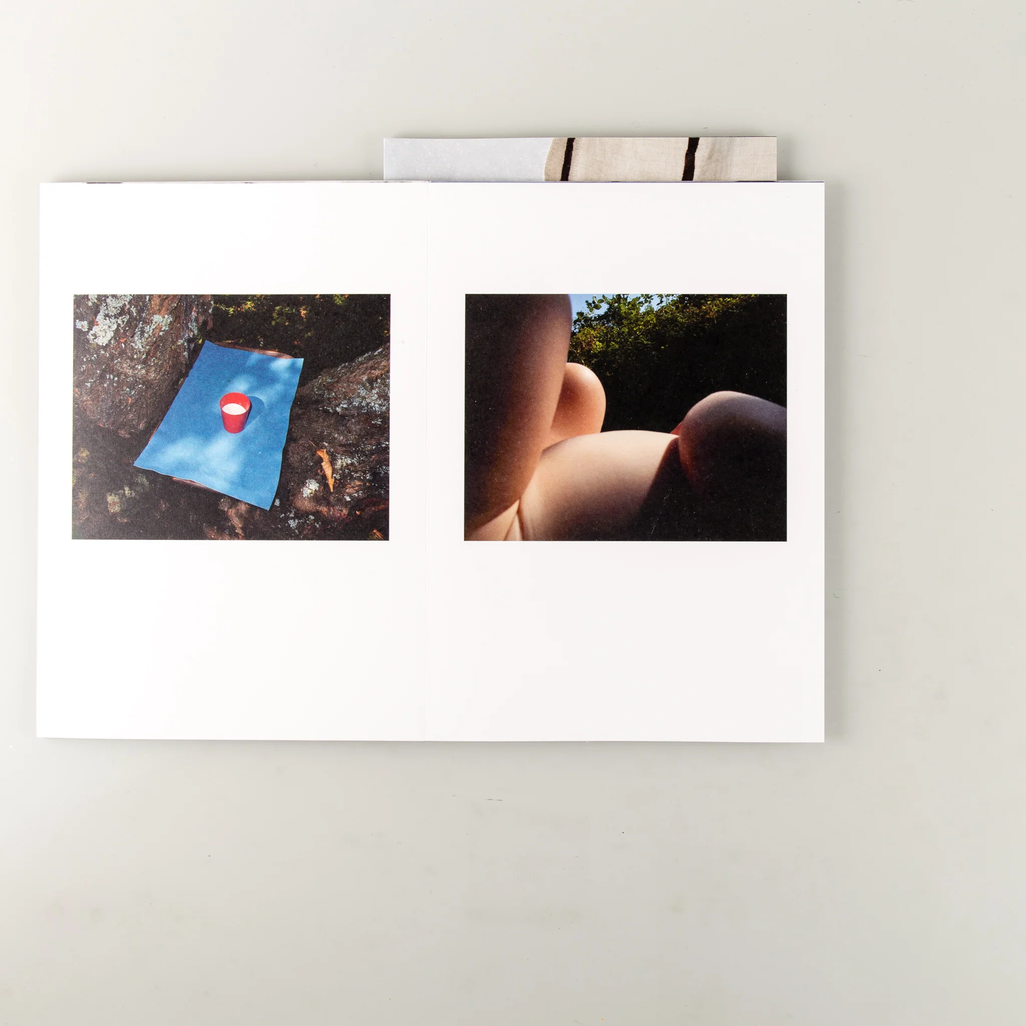 Gravity Begins at Home - Image 10