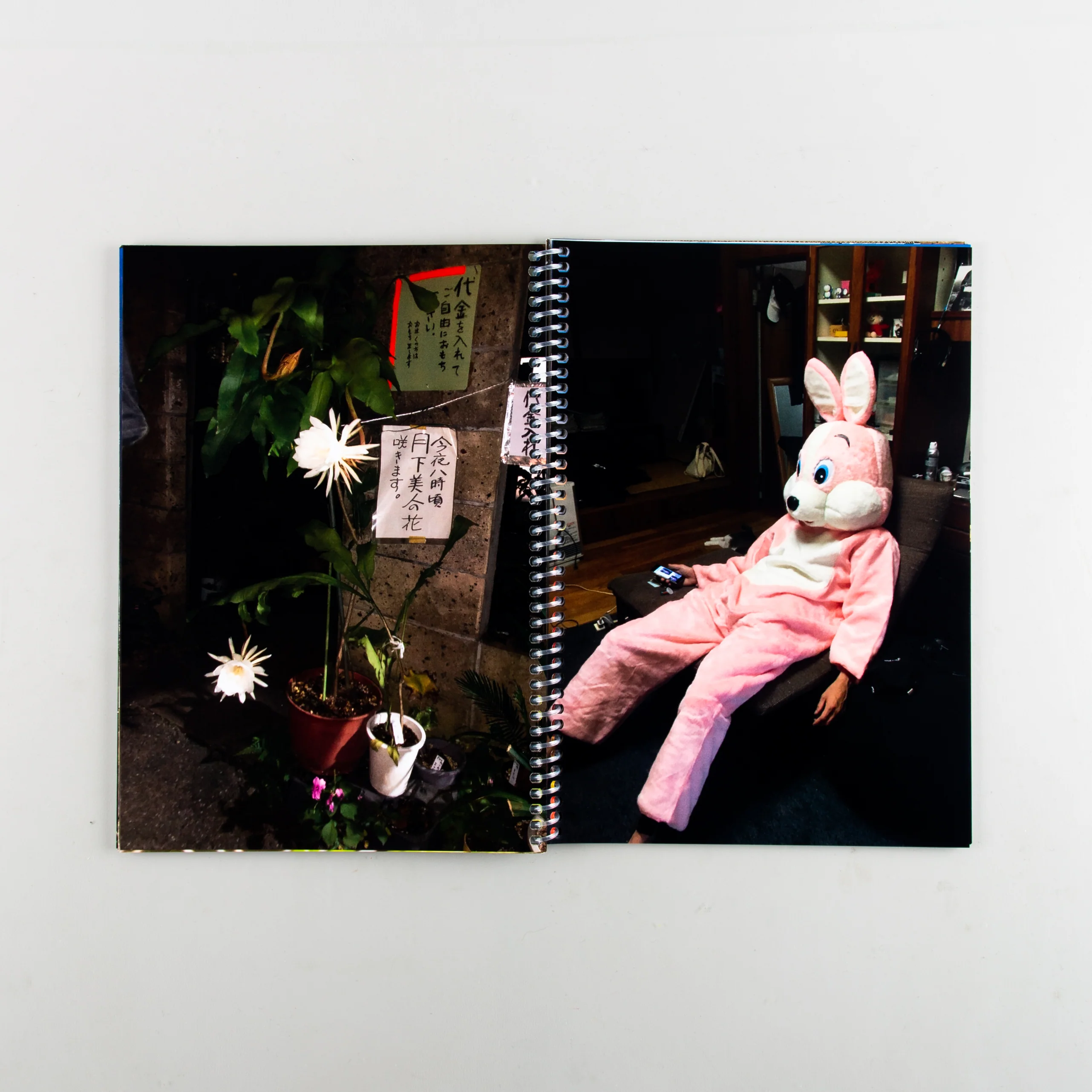 (Hello, it's me) - Image 12
