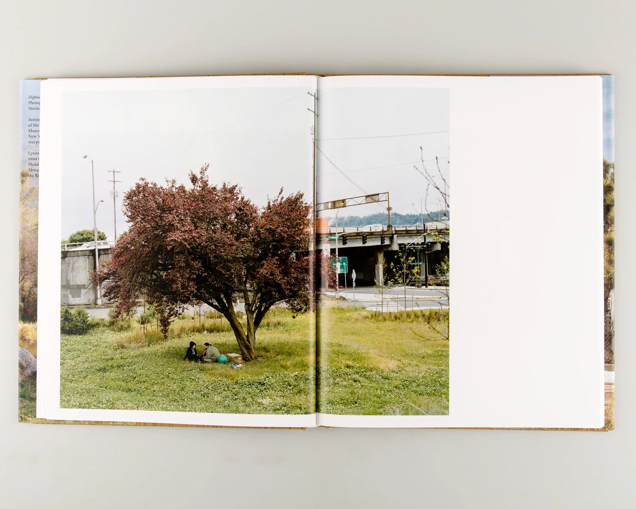 Highway Kind - Image 4