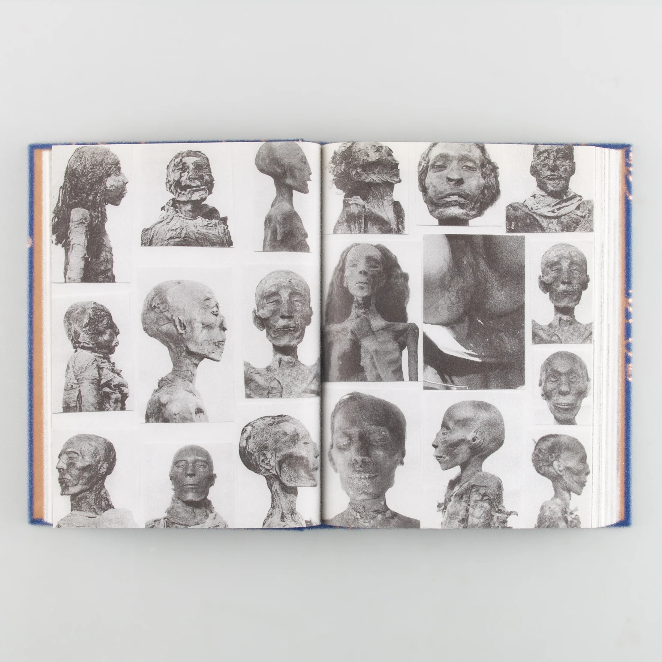 History Database - Image 5