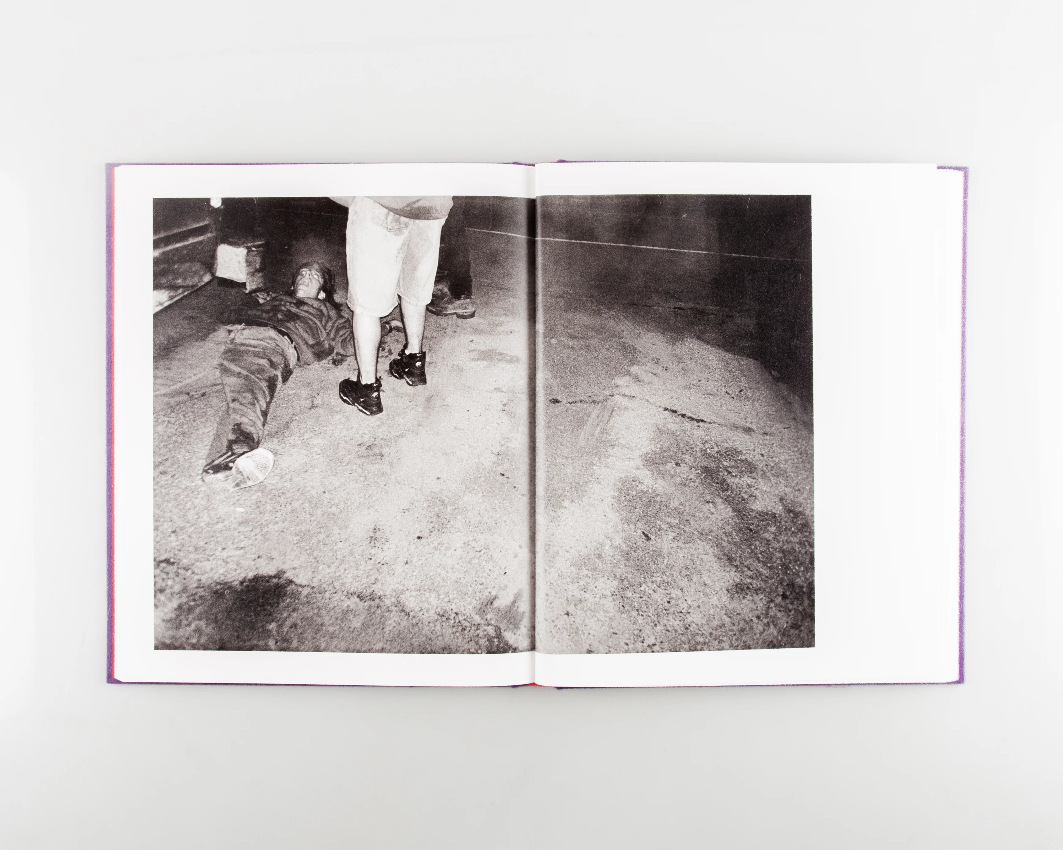 Holy Cow! - Image 4