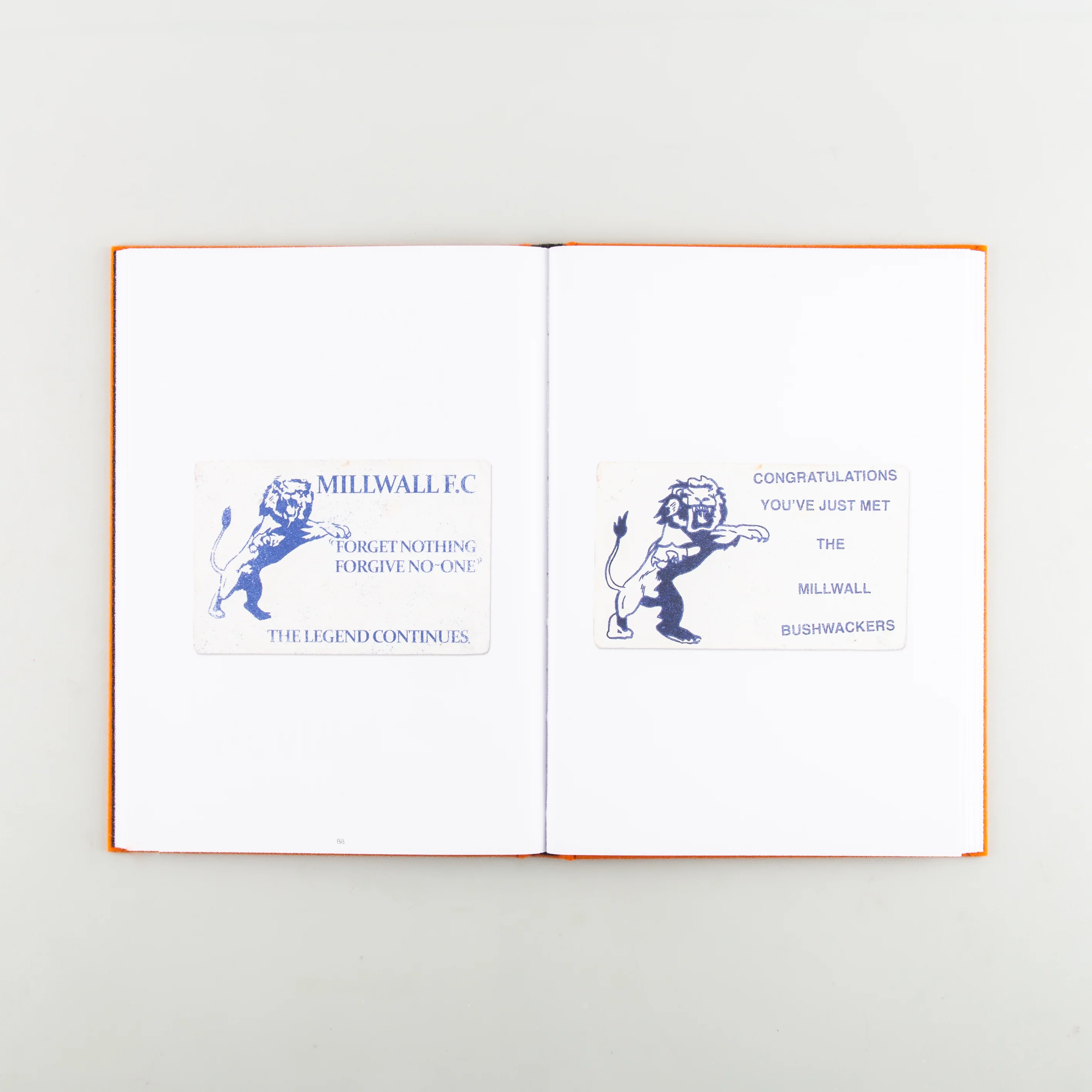 Hoolicards - Image 10