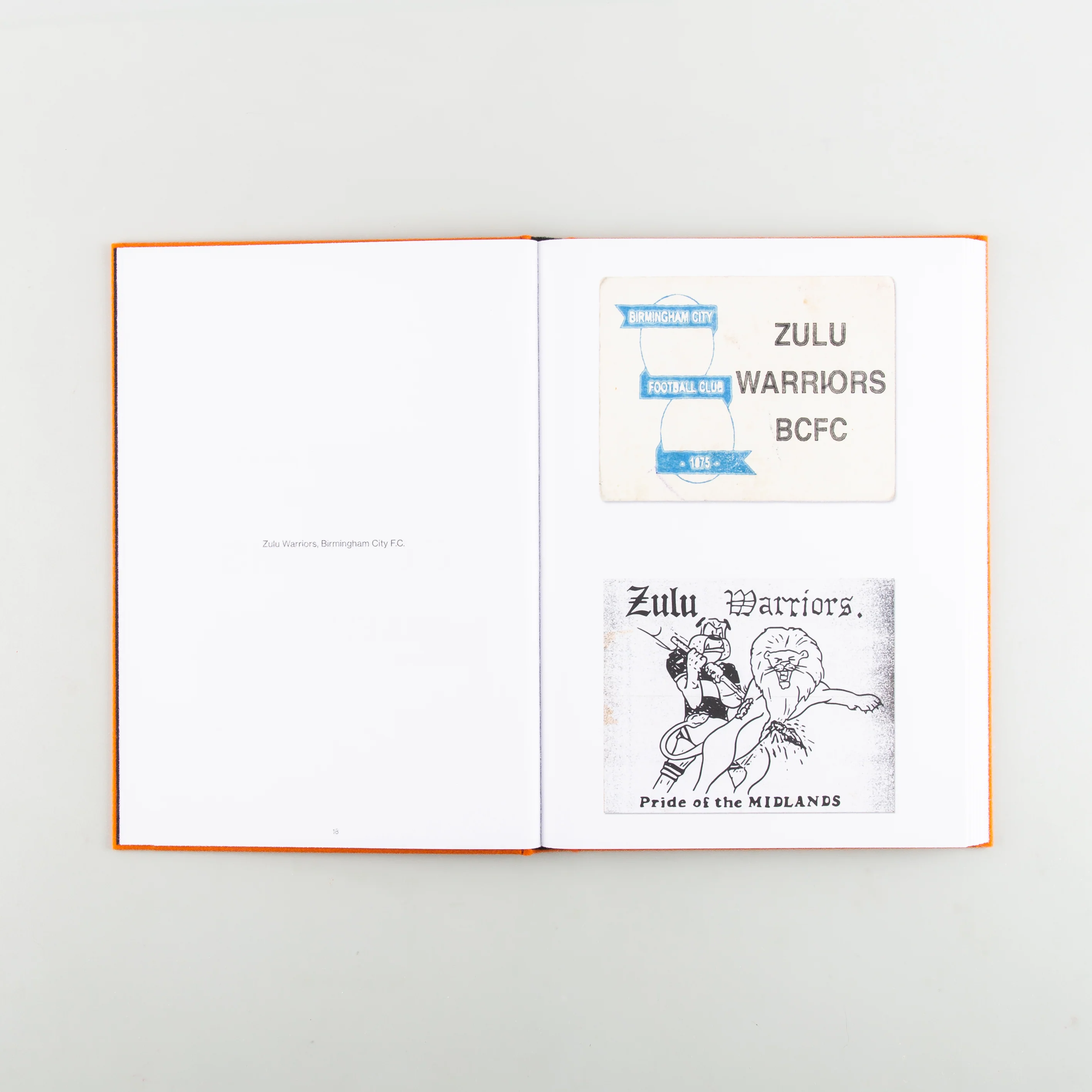 Hoolicards - Image 3