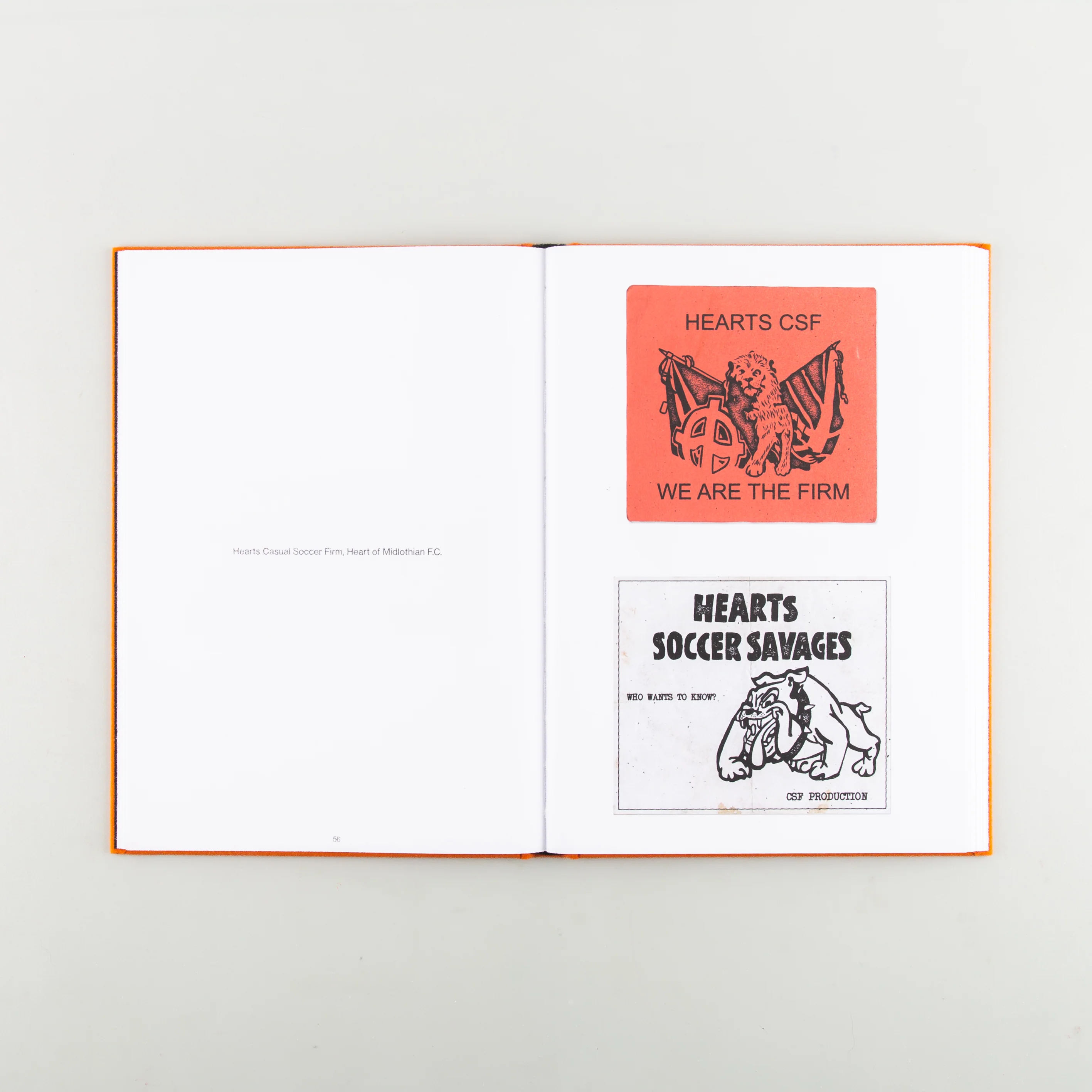 Hoolicards - Image 5