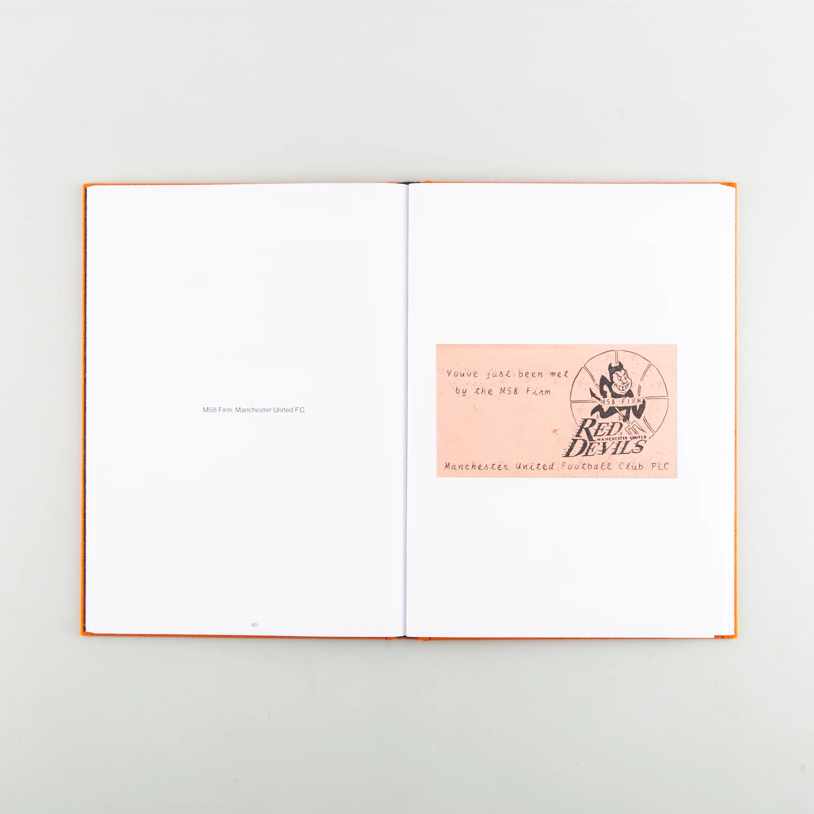 Hoolicards - Image 7