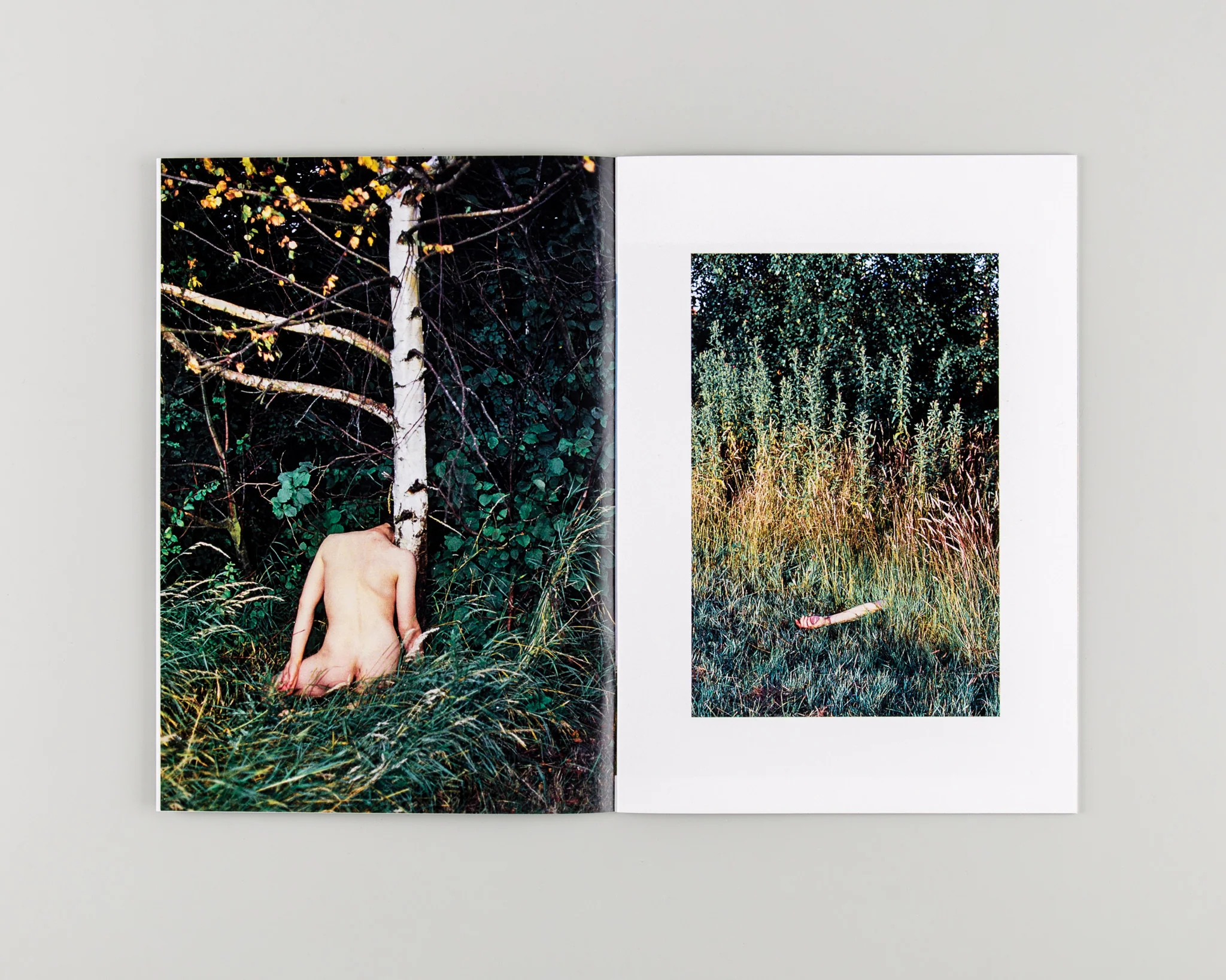 Human / Nature - Image 3
