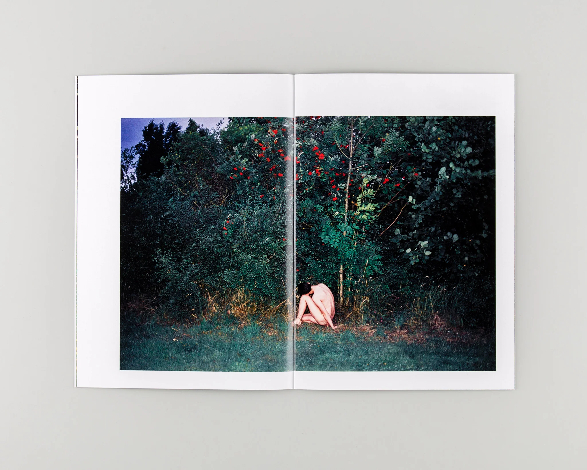 Human / Nature - Image 4